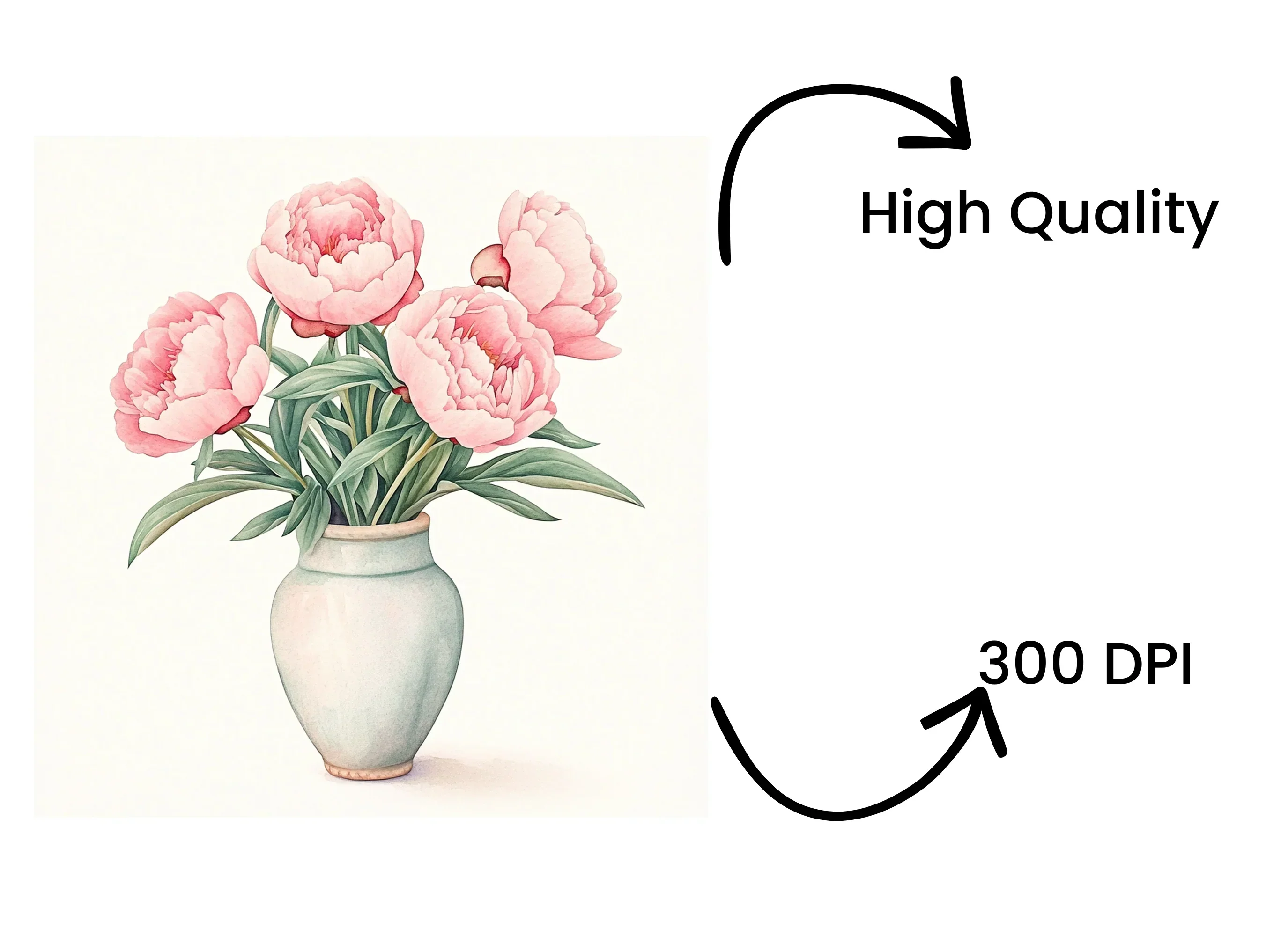 Peony Arrangements in Vases Clipart Bundle - Image 4