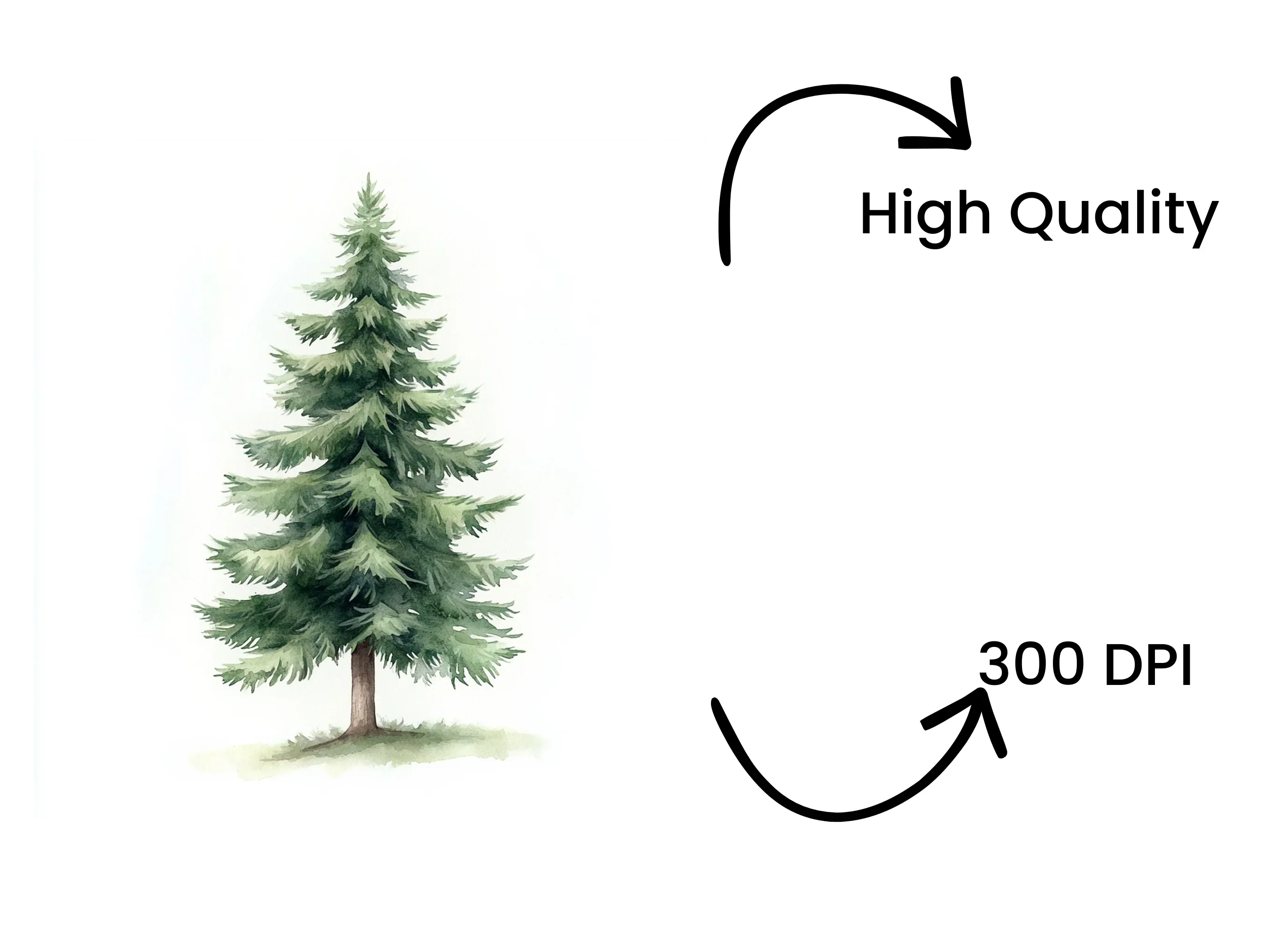Pine Tree Clipart Bundle - Image 4