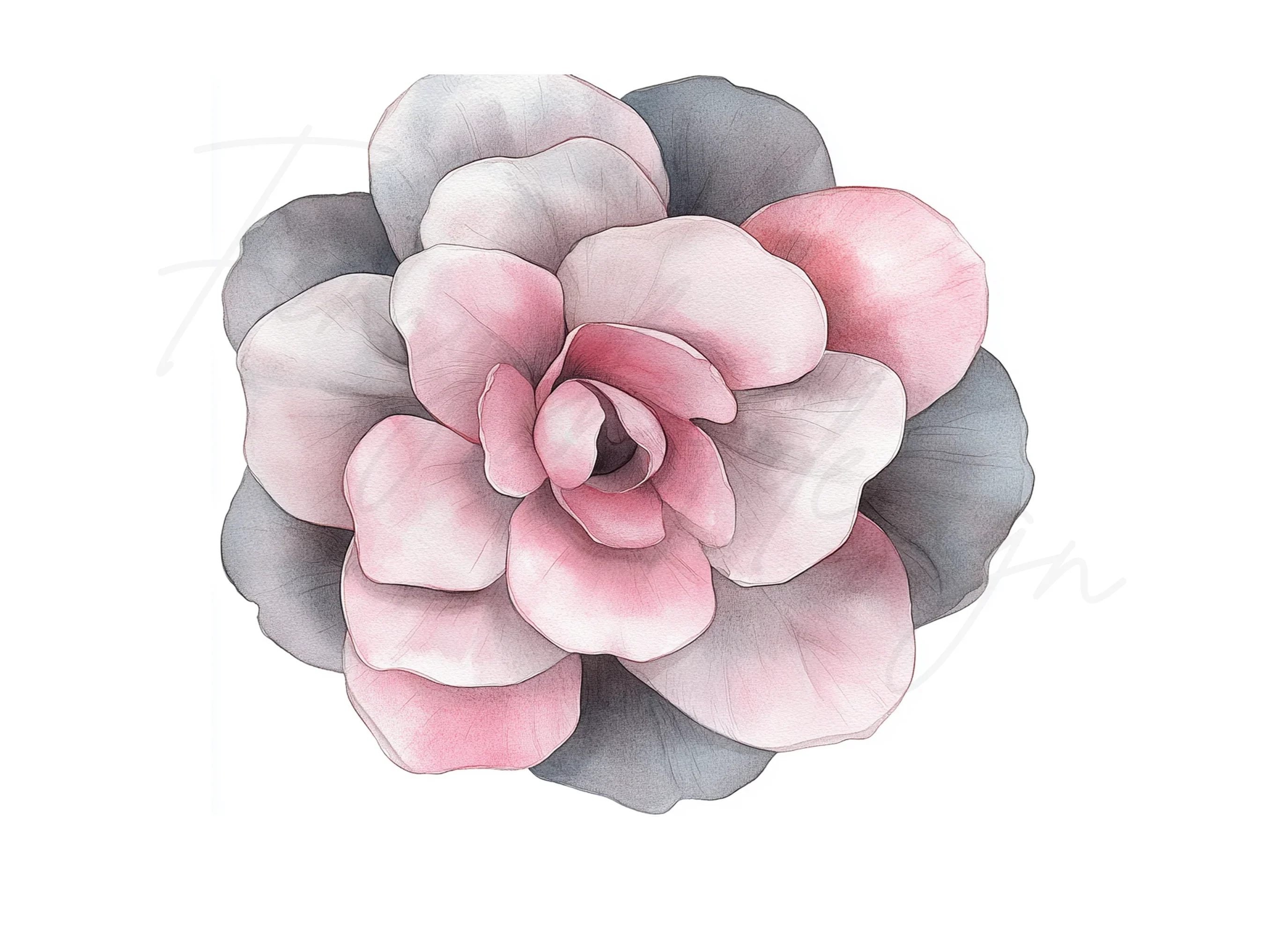 Pink and Grey Flowers Clipart Bundle - Image 2