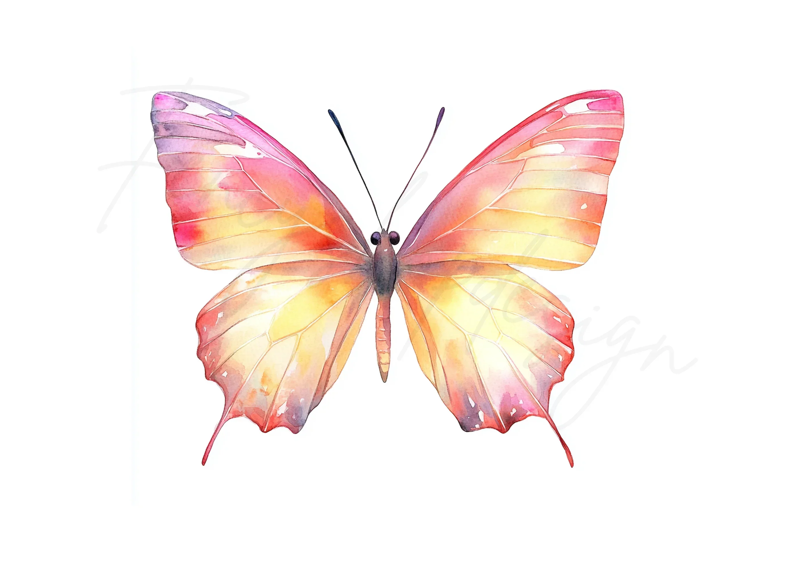 Pink and Orange Butterflies Clipart Bundle - Image 2