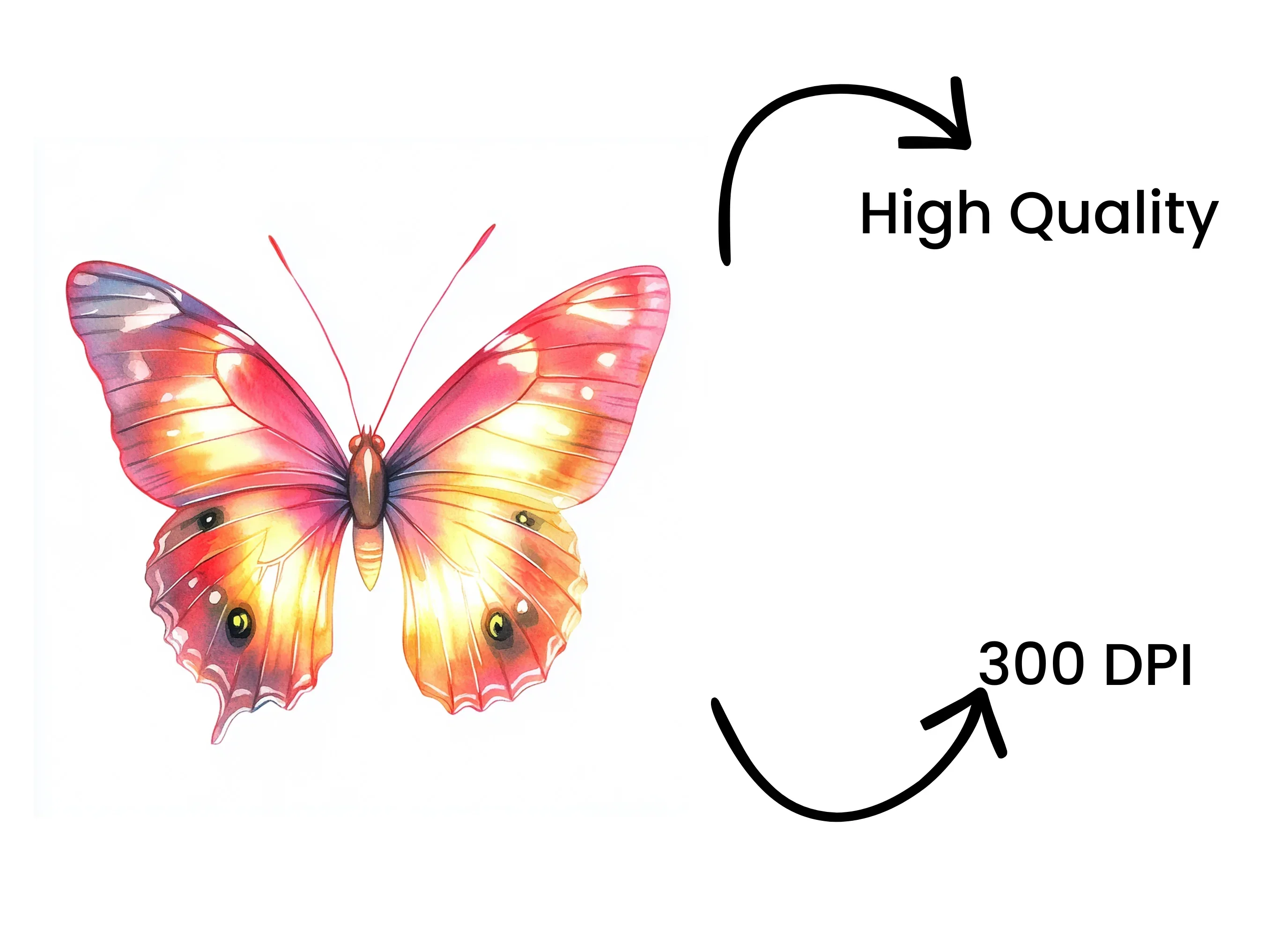 Pink and Orange Butterflies Clipart Bundle - Image 4