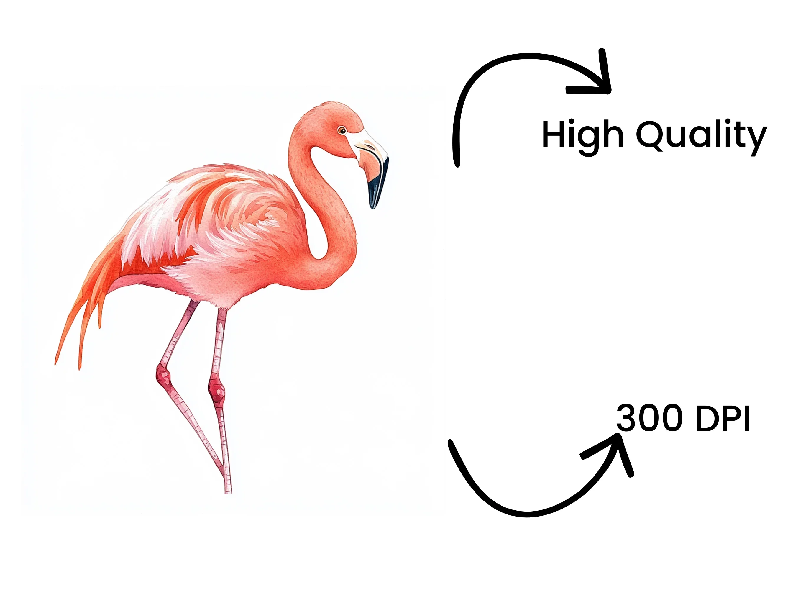 Pink Flamingo Clipart Bundle - Image 4