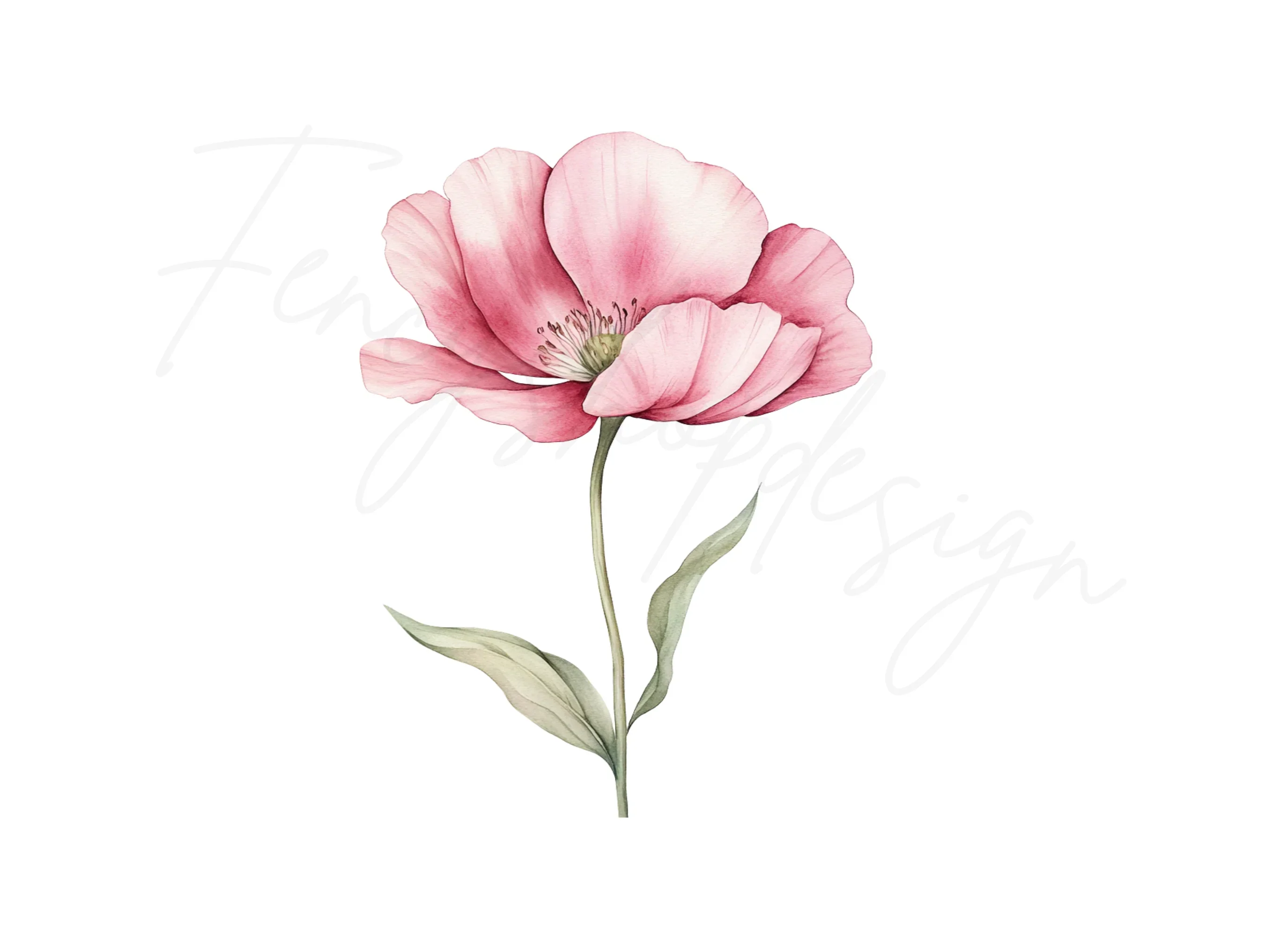 Pink Flower Clipart Bundle - Image 4