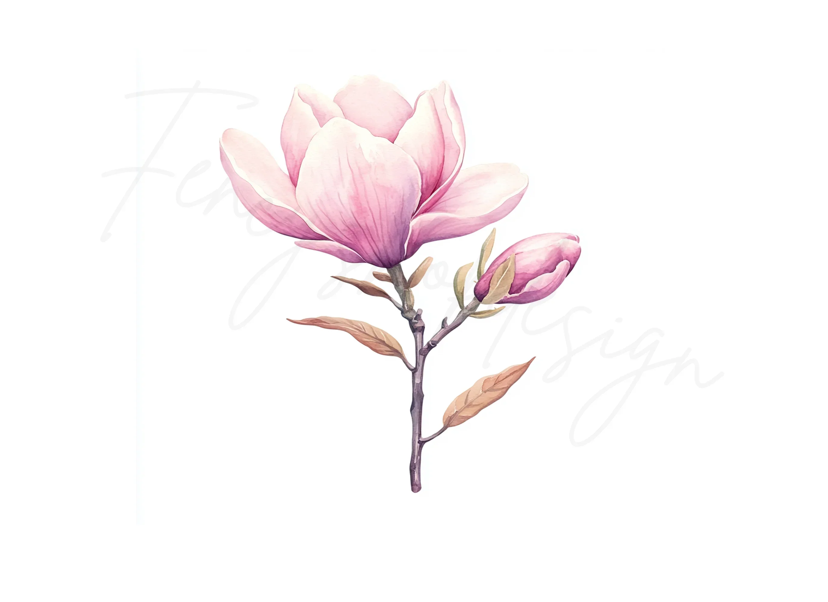 Pink Magnolia Flower Clipart Bundle - Image 3