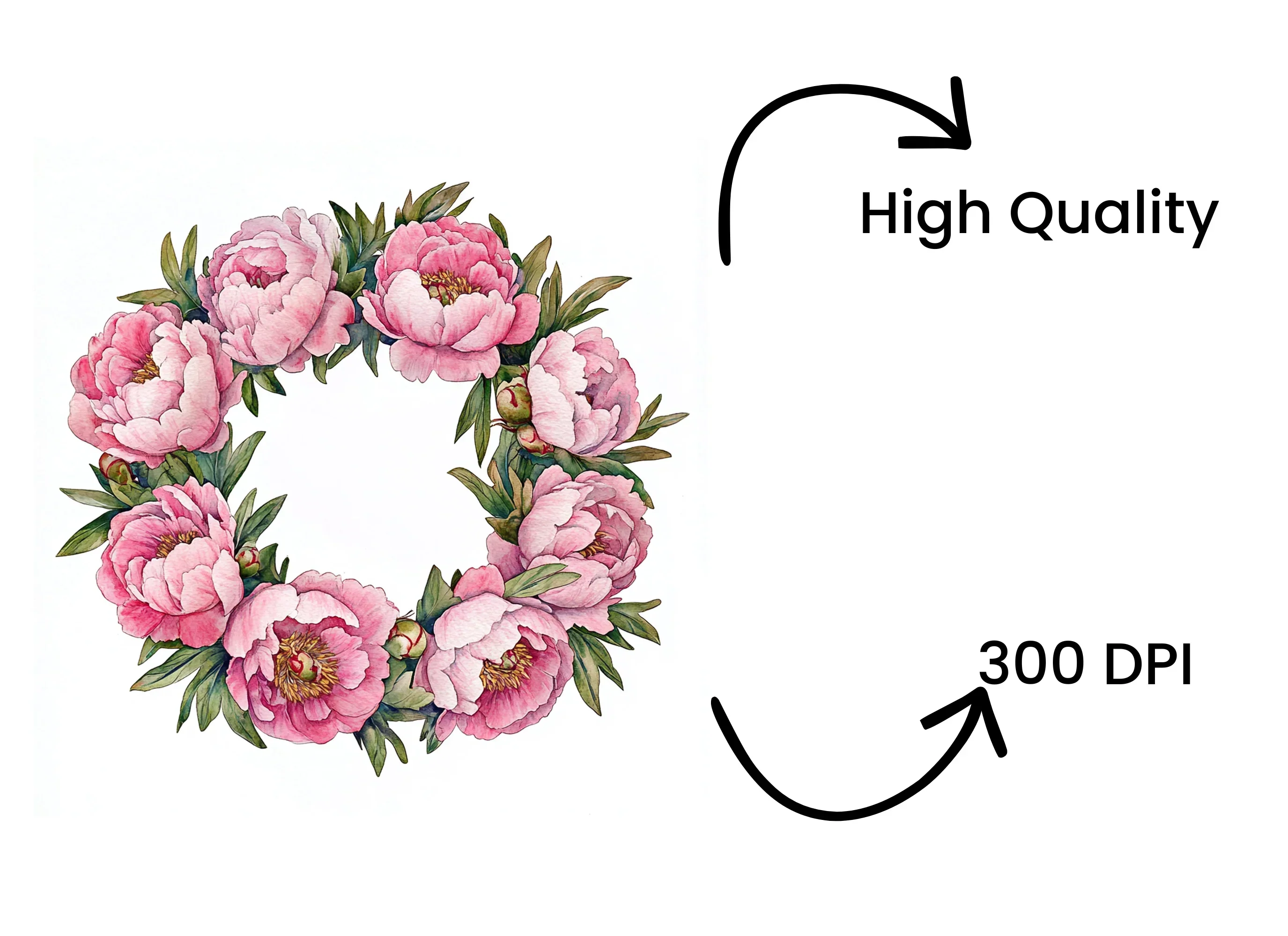 Pink Peony Wreath Clipart Bundle - Image 4