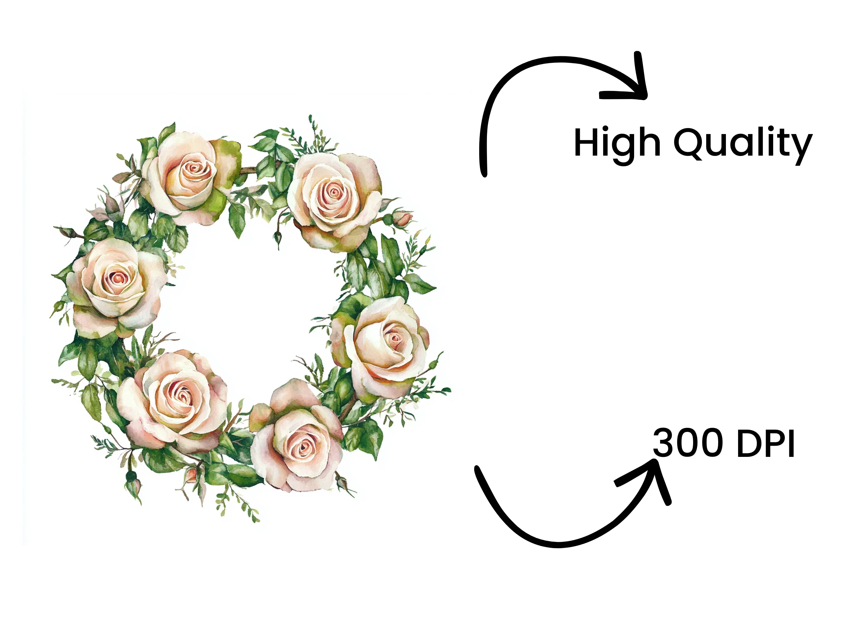 Pink Rose Floral Wreaths Clipart Bundle - Image 4