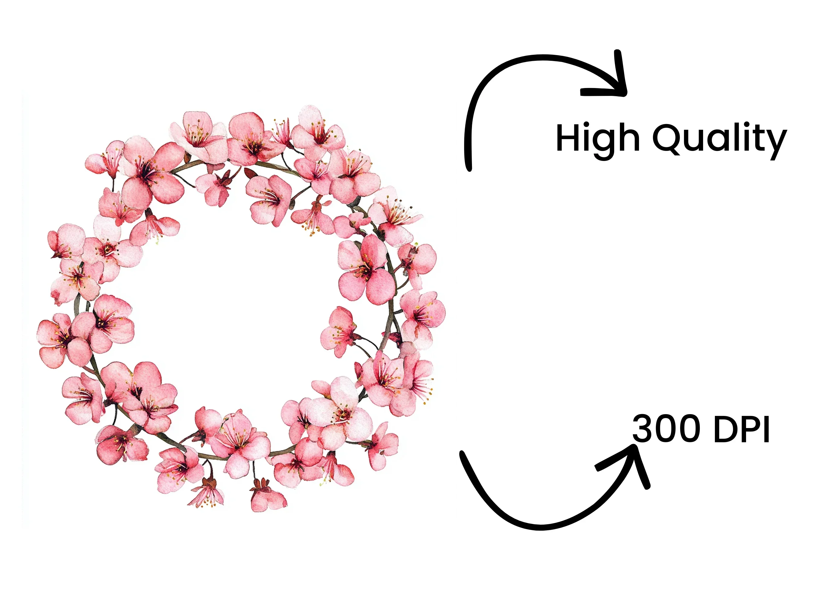 Pink Sakura Flower Wreath Clipart Bundle - Image 4