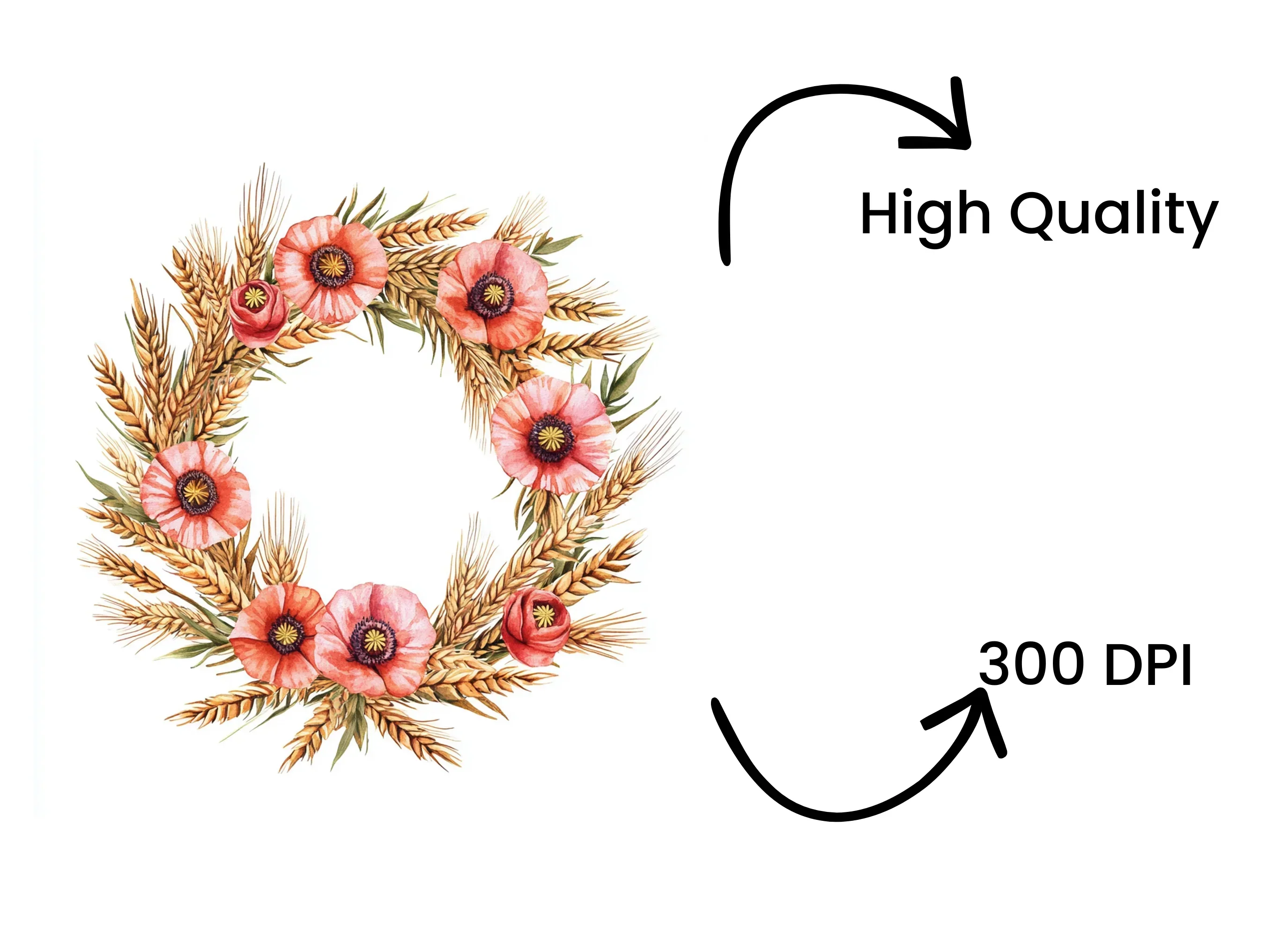 Poppy and Wheat Field Wreaths Clipart Bundle - Image 4