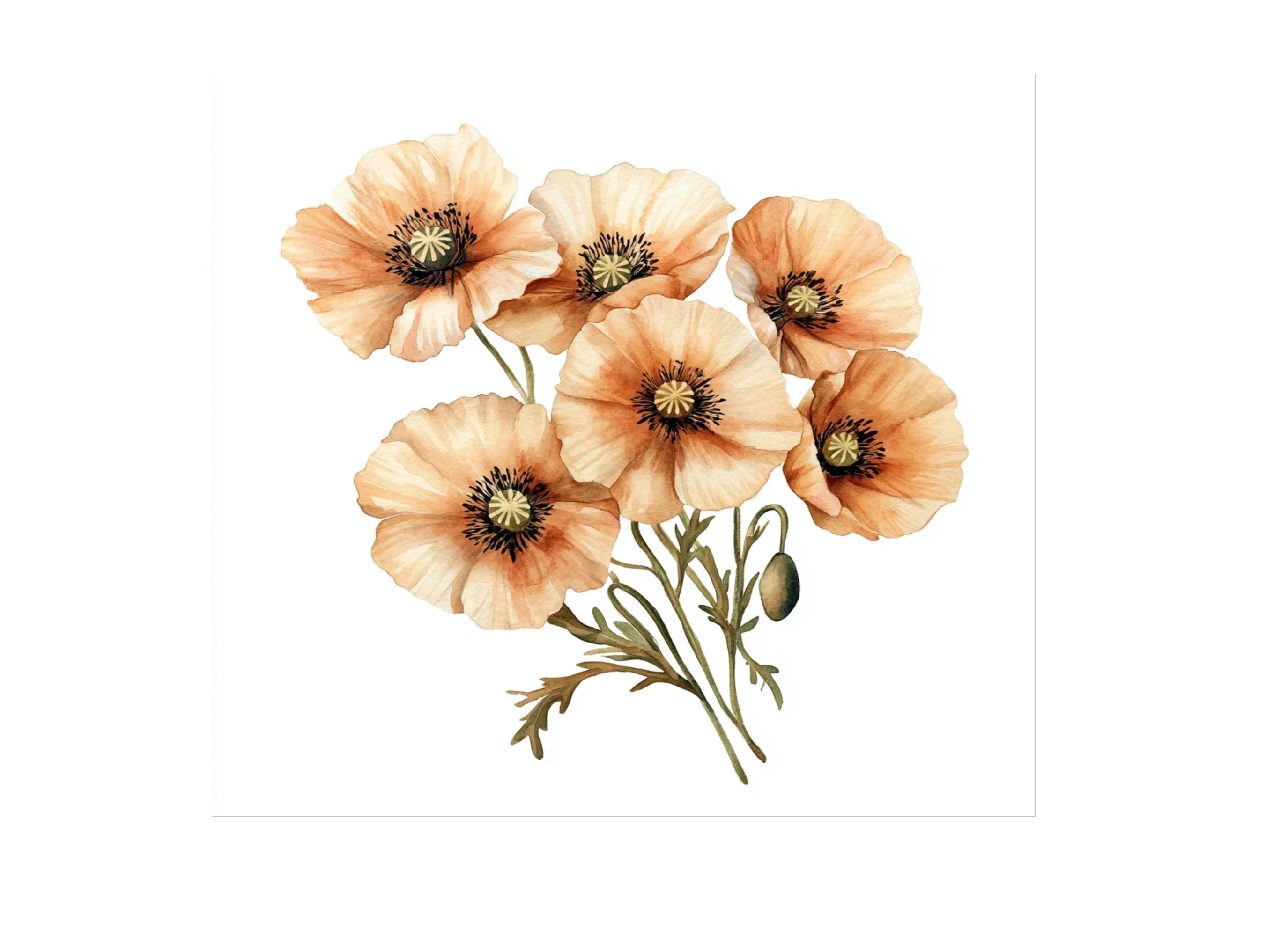Poppy Clipart Bundle - Image 3