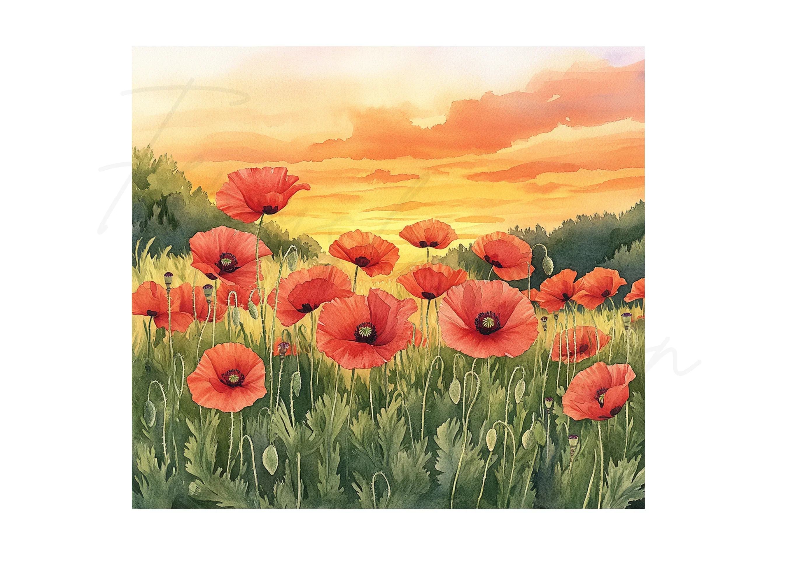 Poppy Field Sunset Landscape Clipart Bundle - Image 3