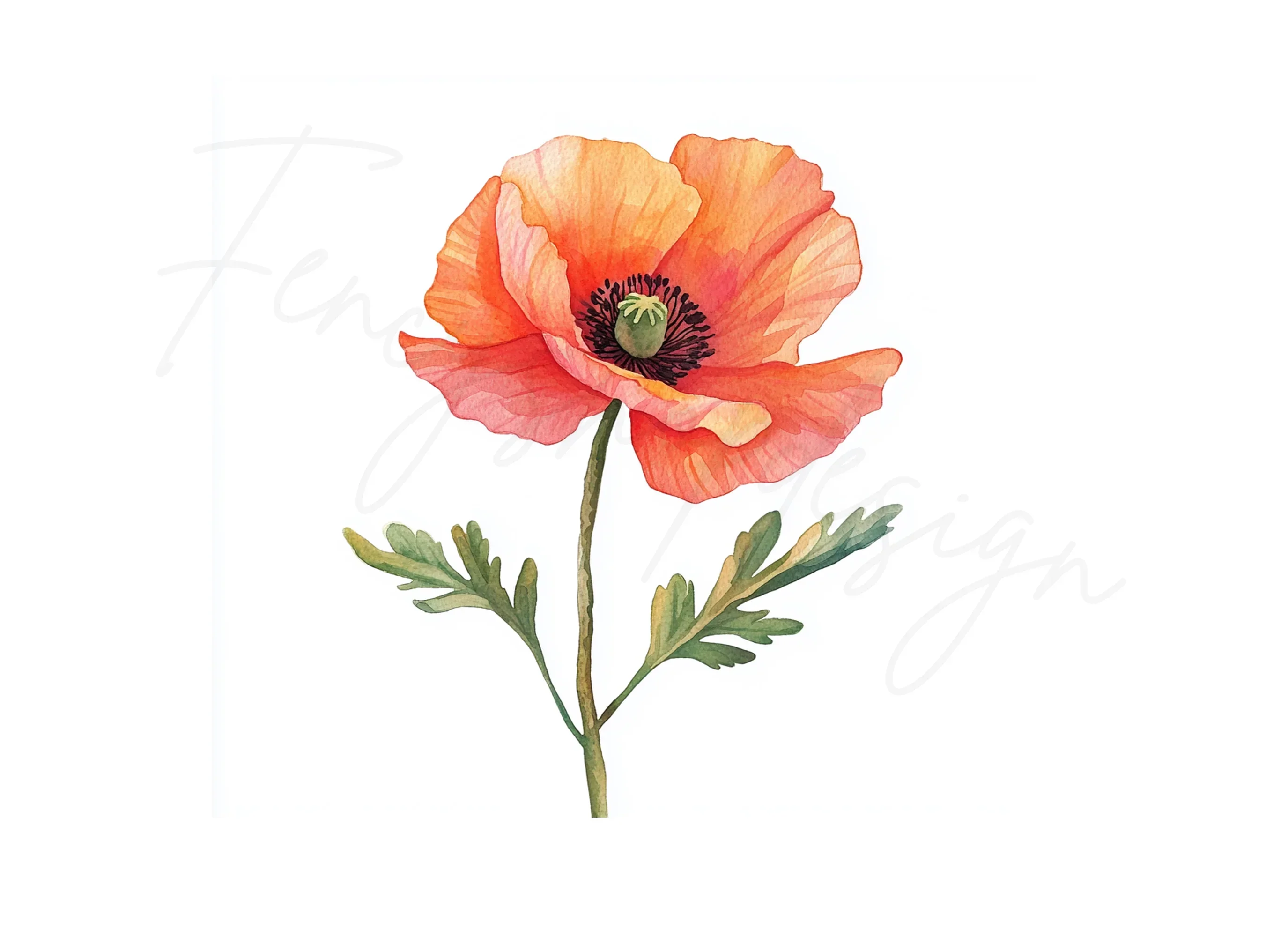 Poppy Flower Clipart Bundle - Image 3