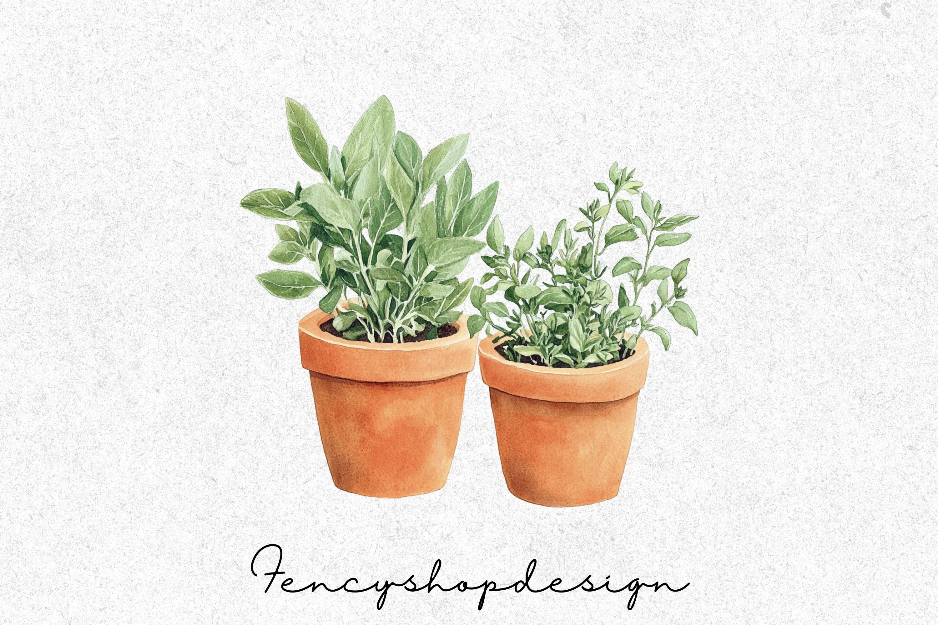 Potted Herbs Clipart Bundle - Image 5