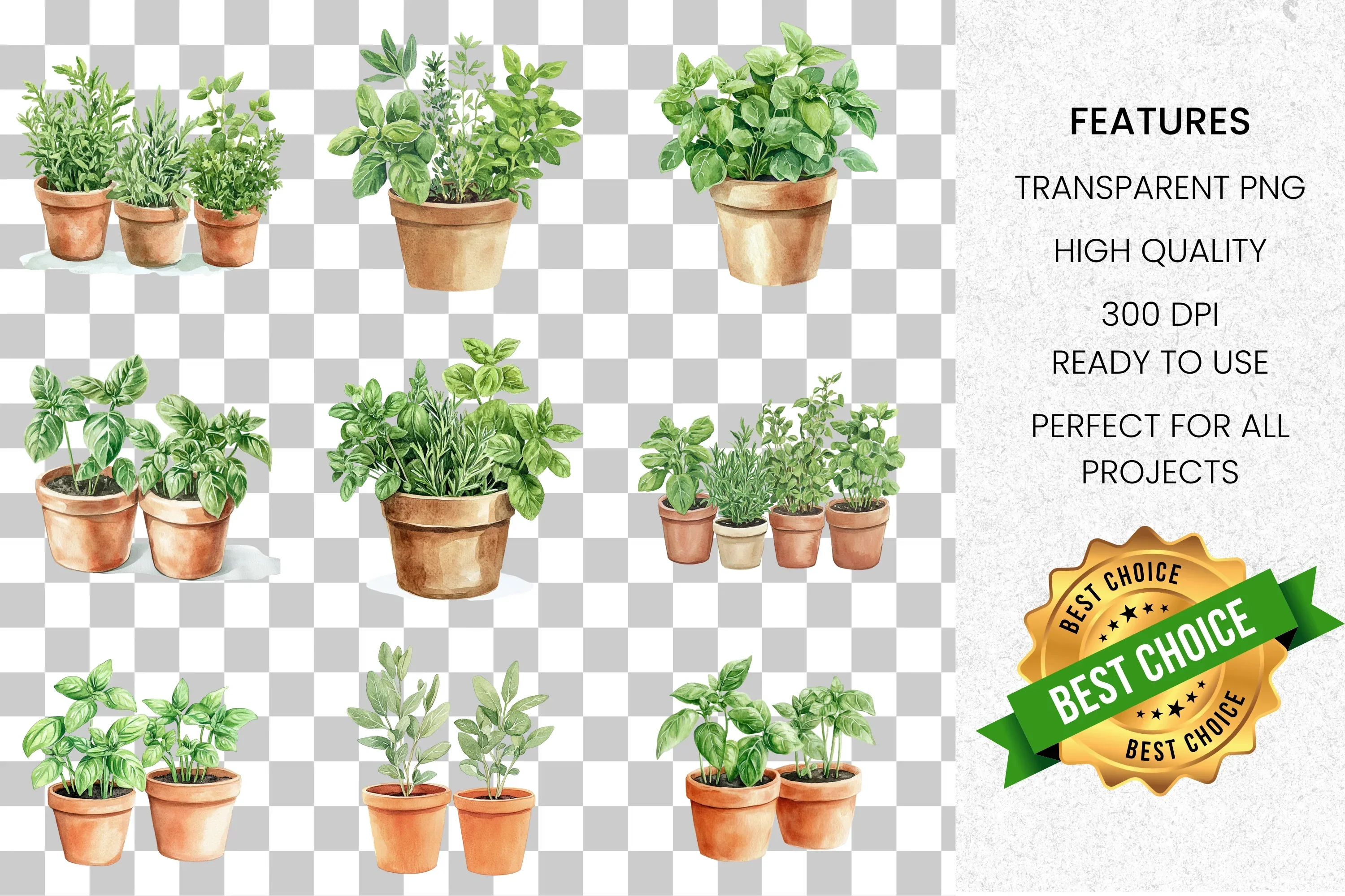 Potted Herbs Clipart Bundle - Image 7