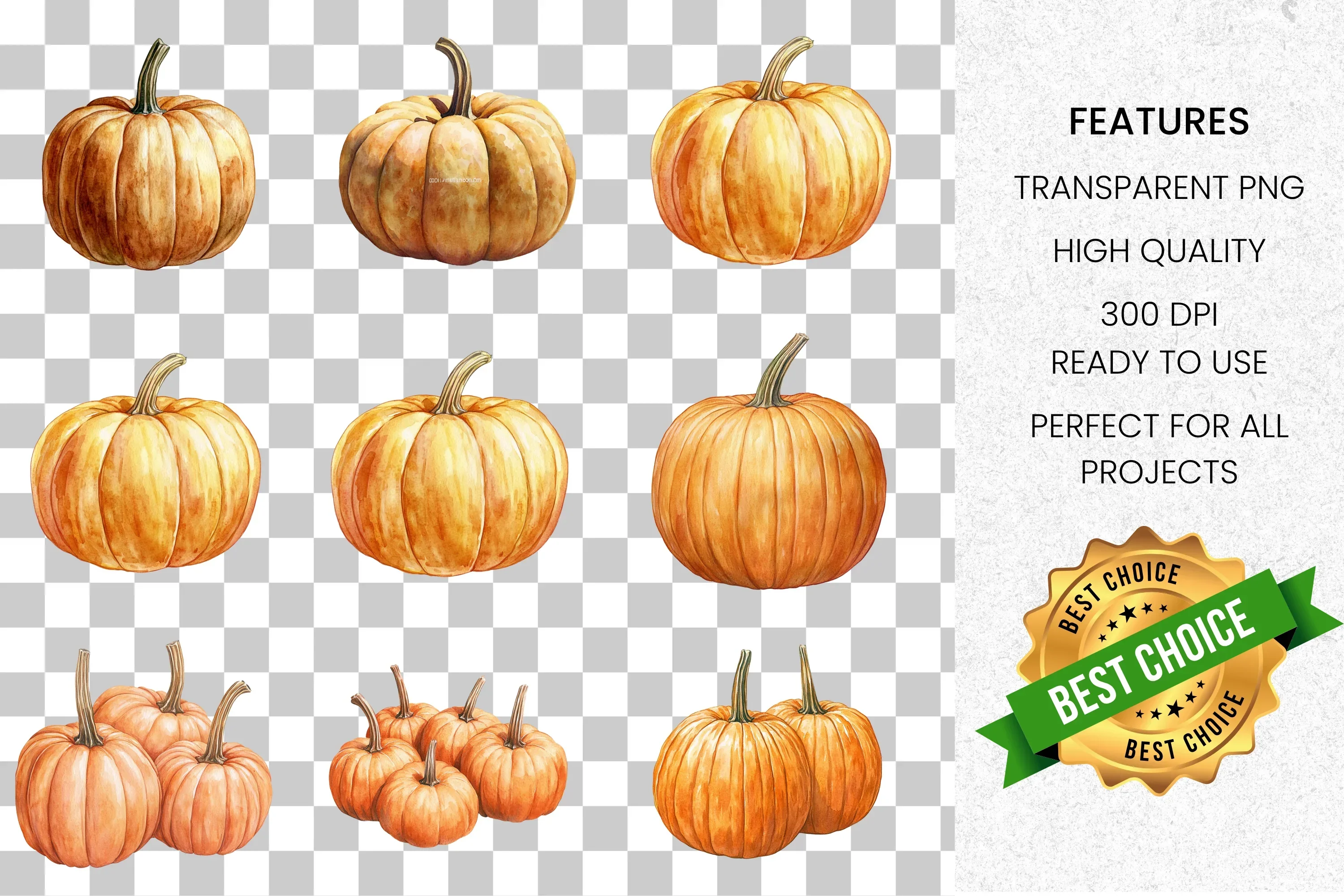 Pumpkin Clipart Bundle - Image 2