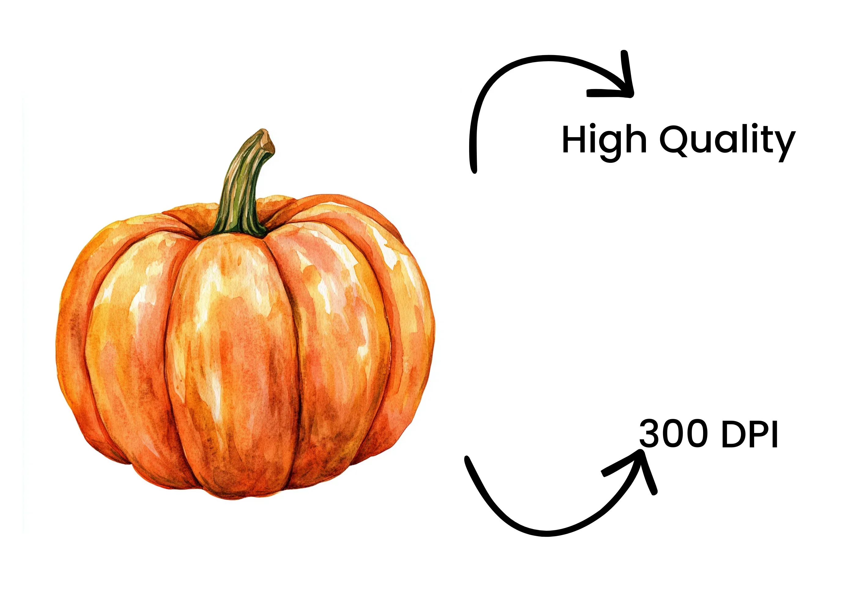 Pumpkin Clipart Bundle - Image 4