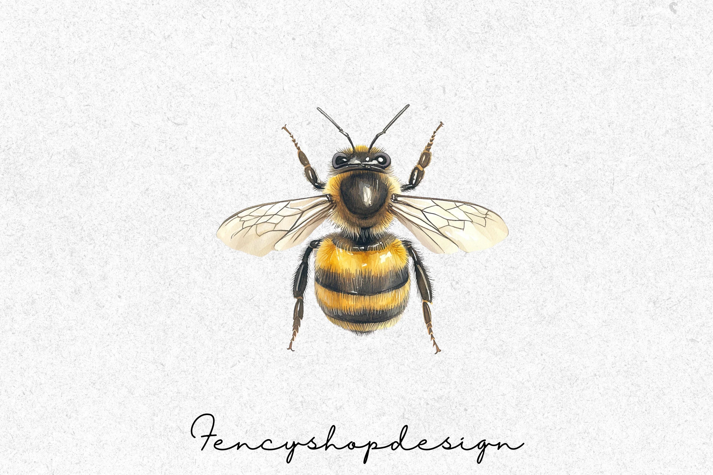 Realistic Bumblebee Clipart Bundle - Image 7