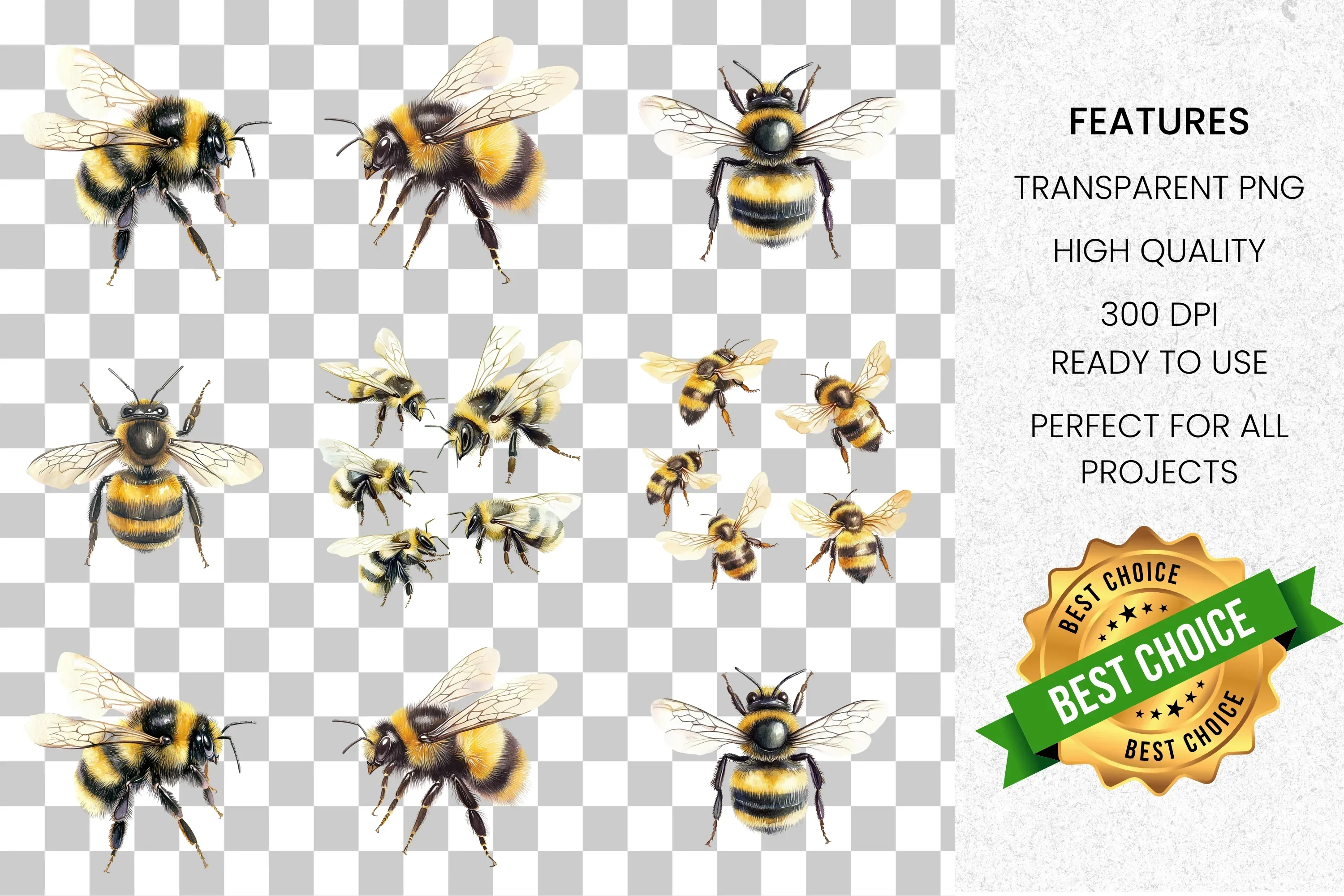 Realistic Bumblebee Clipart Bundle - Image 8