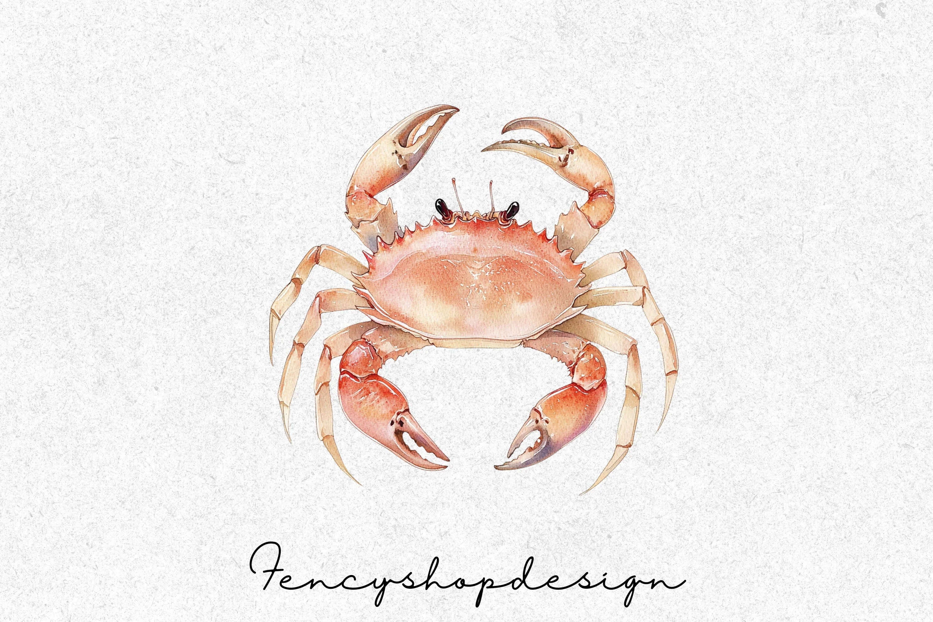 Realistic Crab Clipart Bundle - Image 2