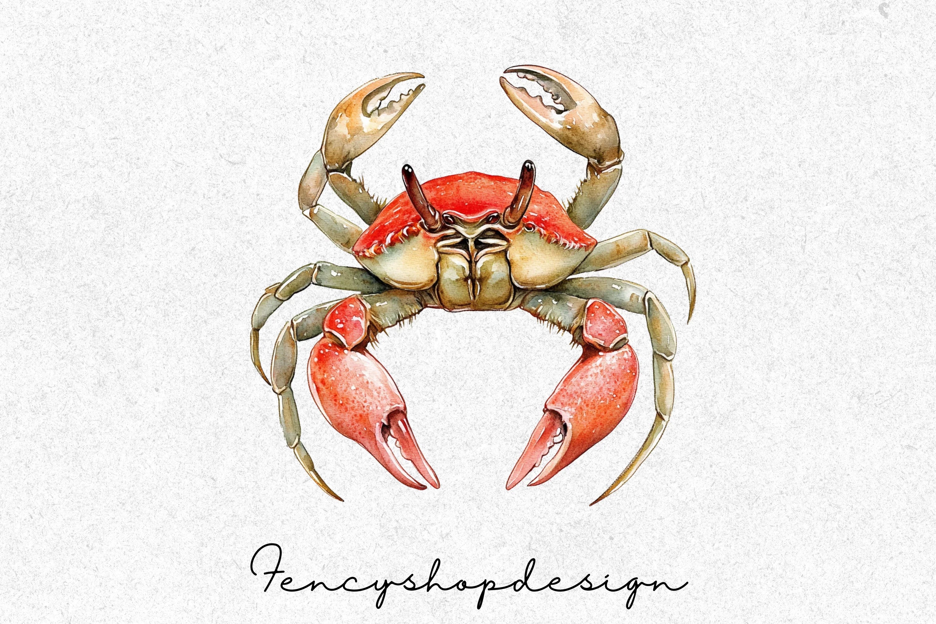 Realistic Crab Clipart Bundle - Image 3