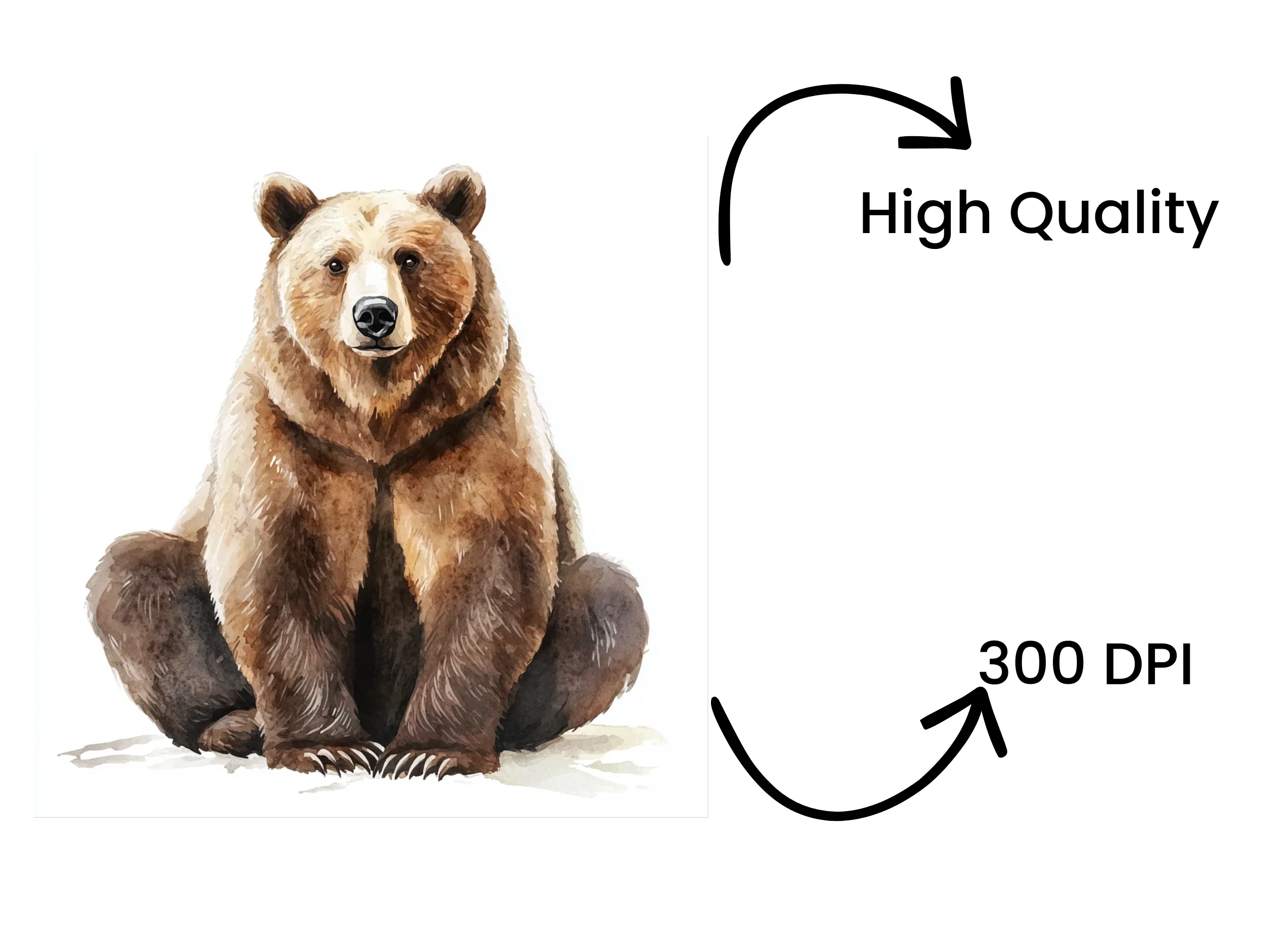 Realistic Grizzly Bear Clipart Bundle - Image 4