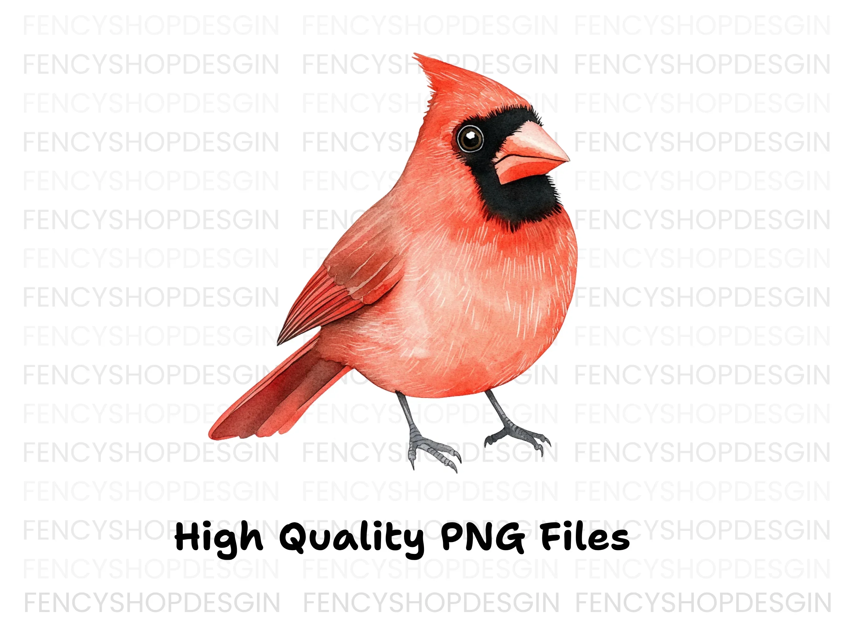 Realistic Red Cardinal Bird Clipart Bundle - Image 3