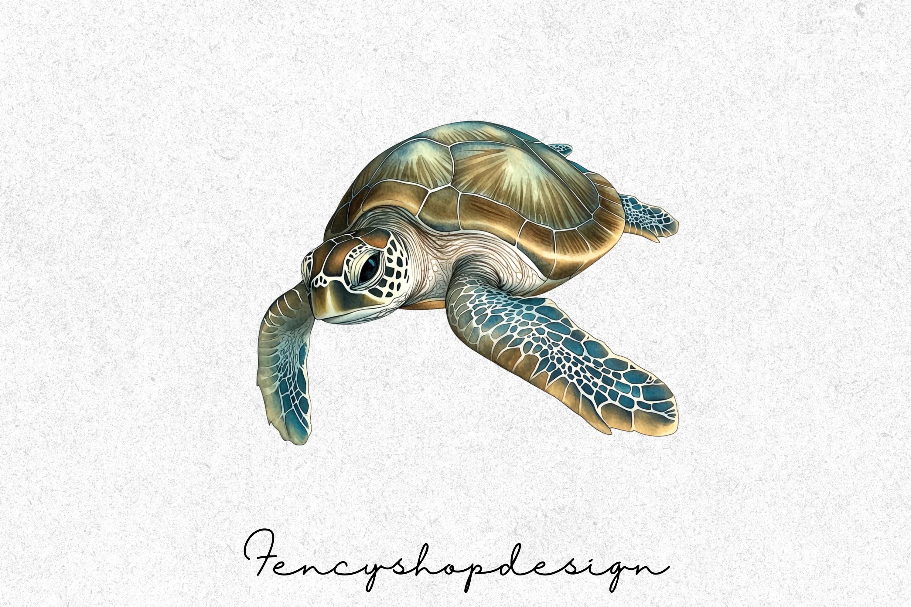 Realistic Sea Turtle Clipart Bundle - Image 6