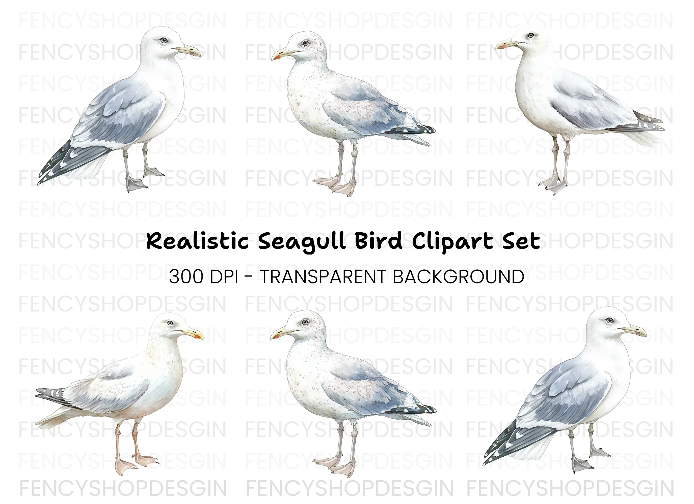 Realistic Seagull Clipart Bundle