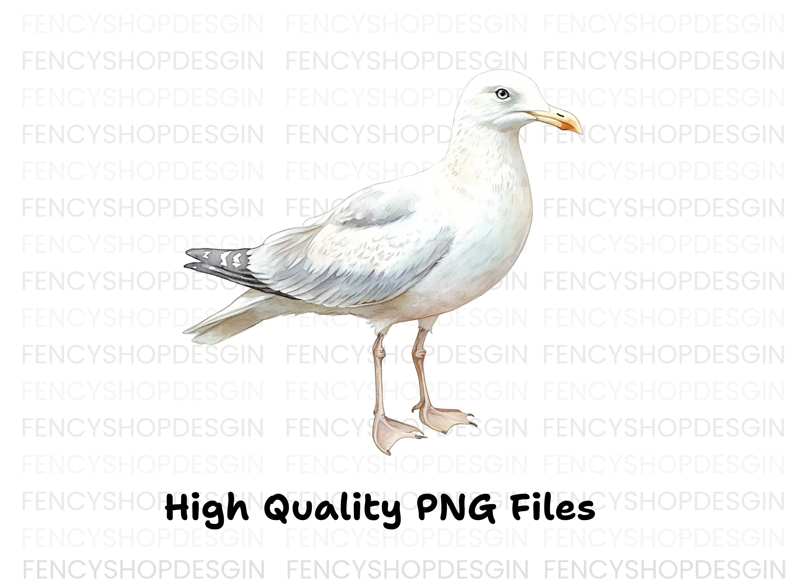 Realistic Seagull Clipart Bundle - Image 2