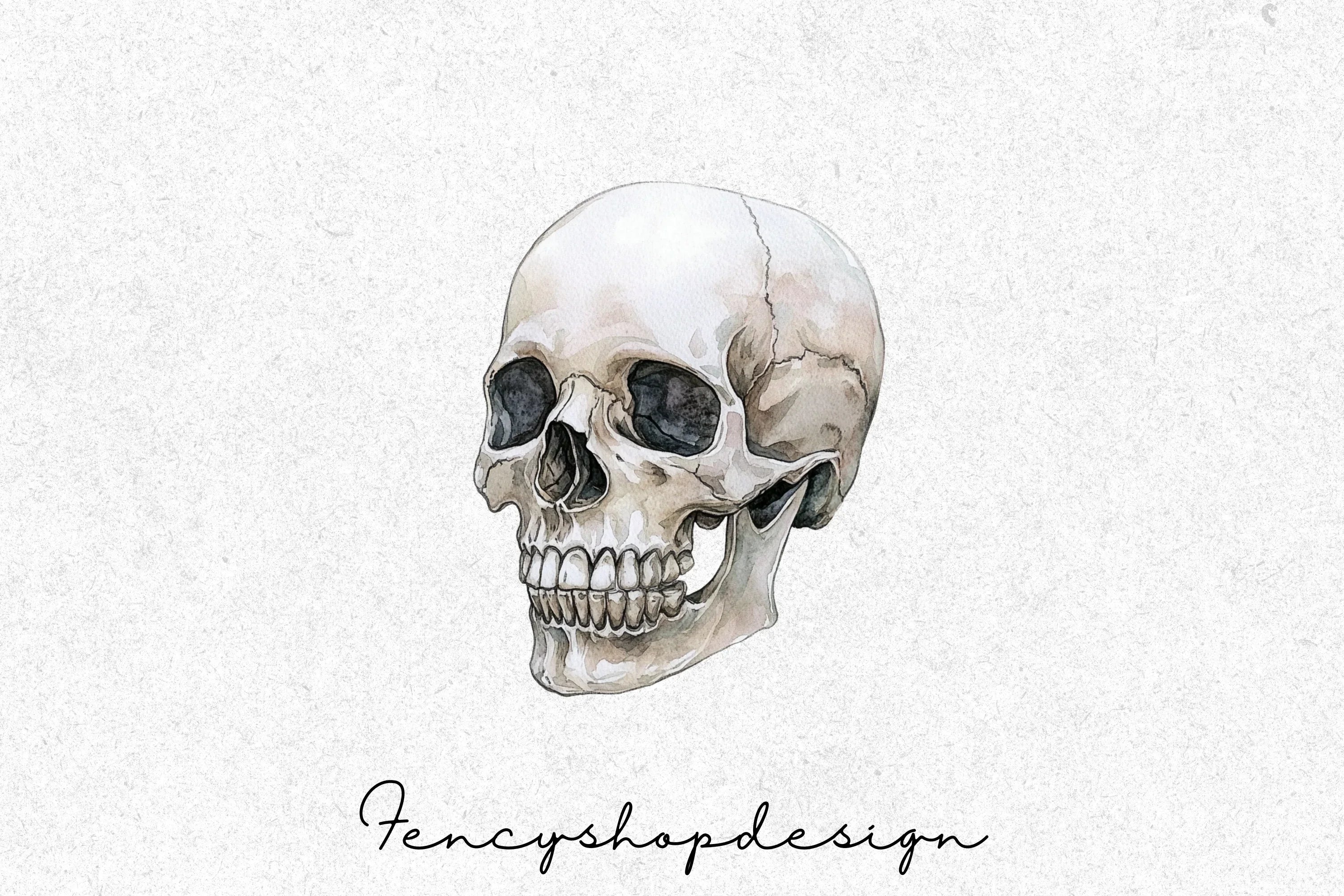 Realistic Skull Clipart Bundle - Image 7