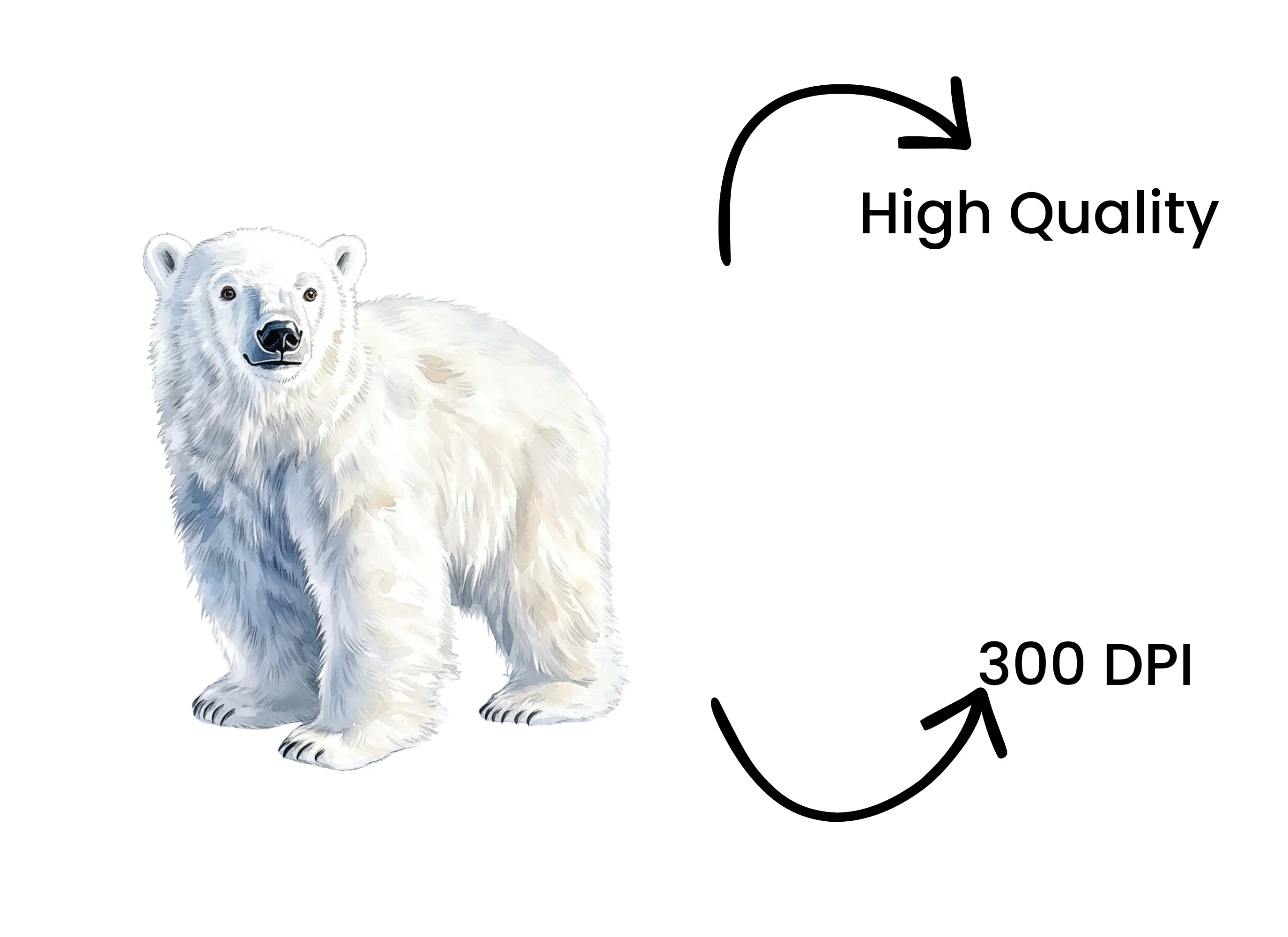 Realistic Standing Polar Bear Clipart Bundle - Image 4
