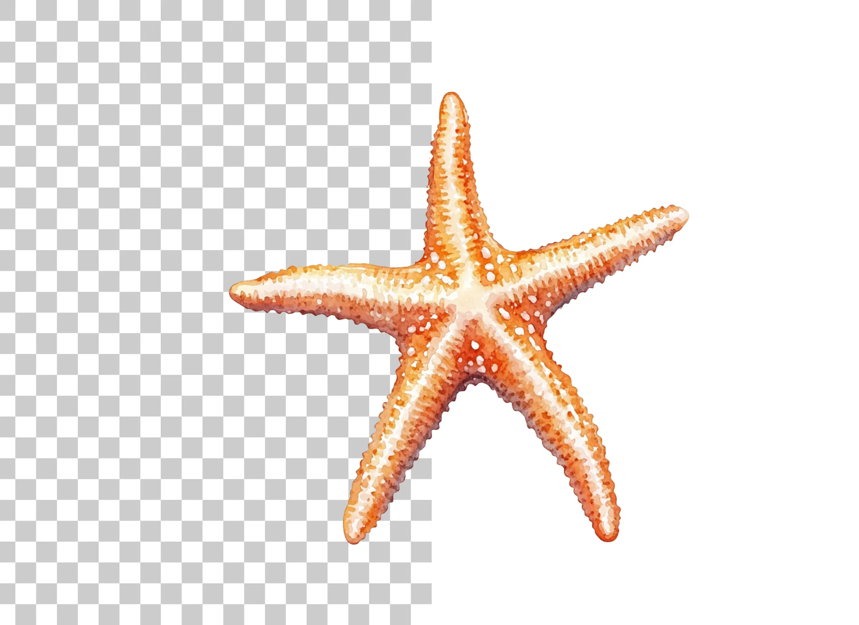 Realistic Starfish Clipart Bundle - Image 2