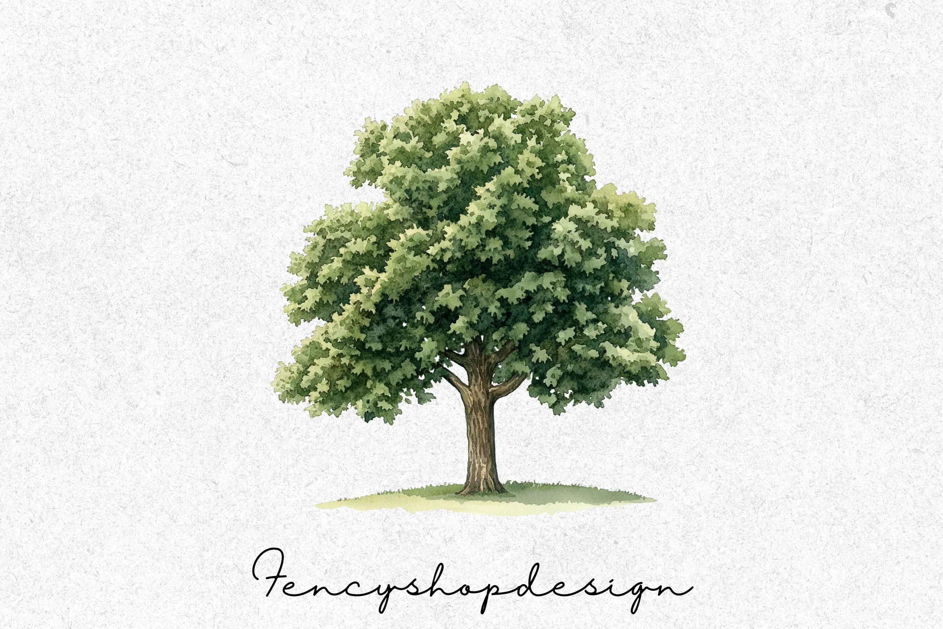 Realistic Tree Clipart Bundle - Image 7