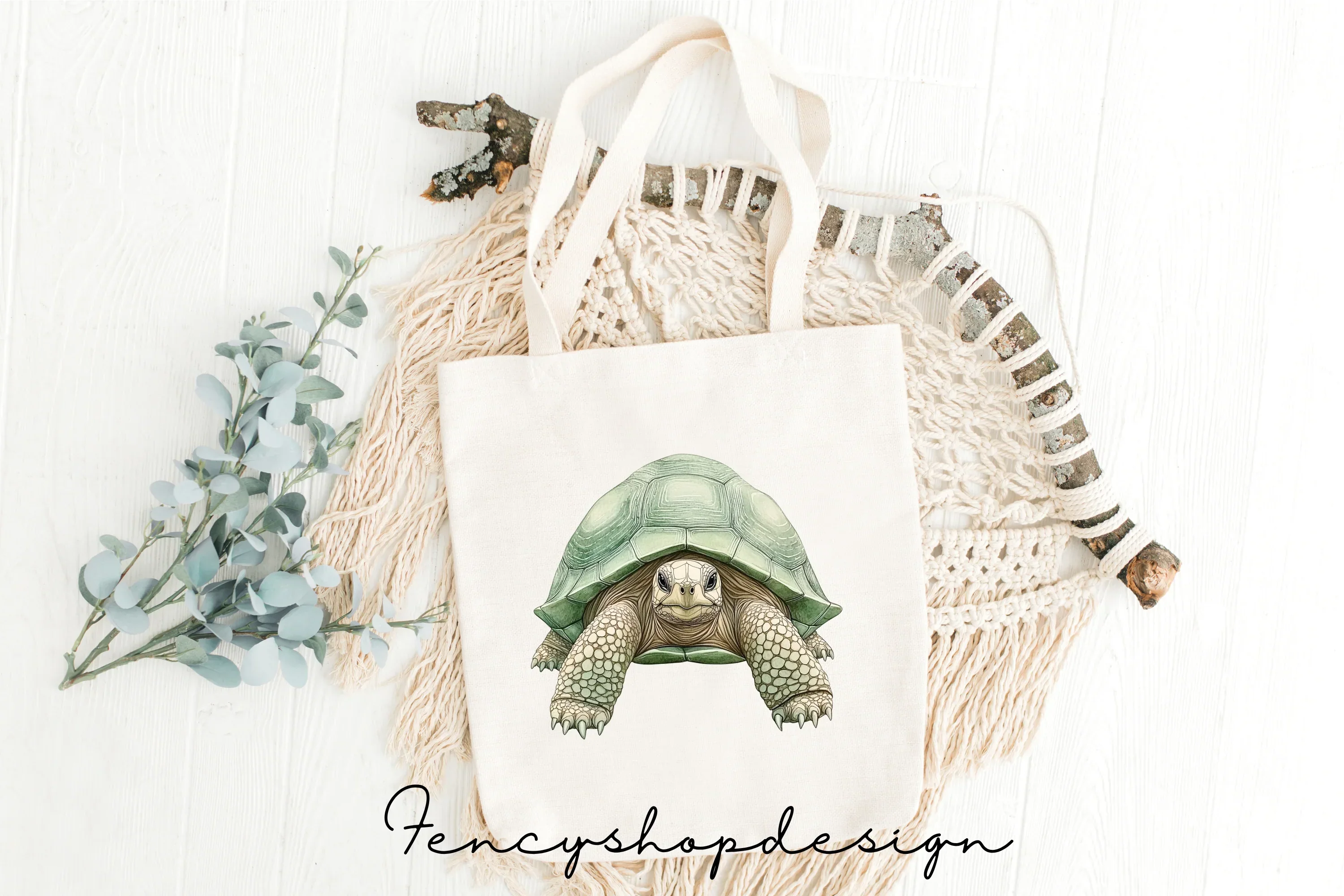 Realistic Turtle Tortoise Clipart Bundle - Image 8