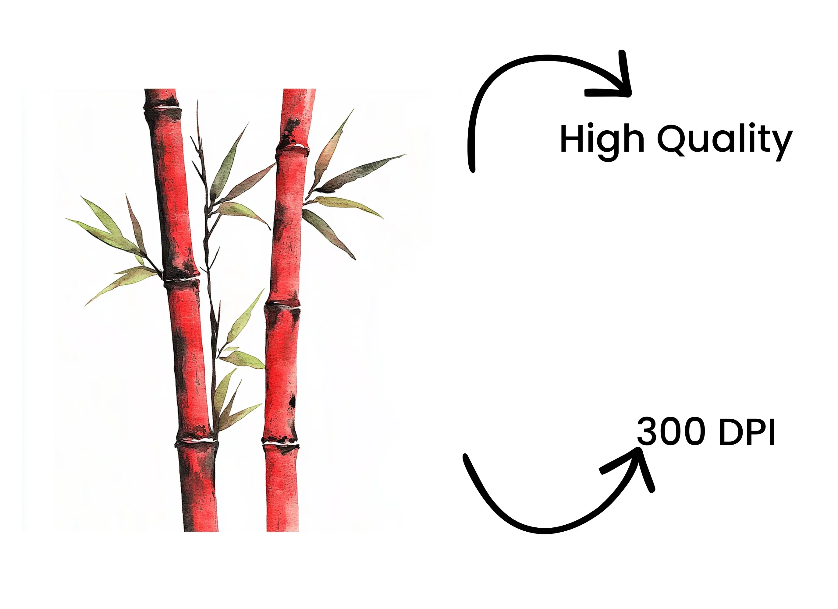 Red Bamboo Clipart Bundle - Image 4