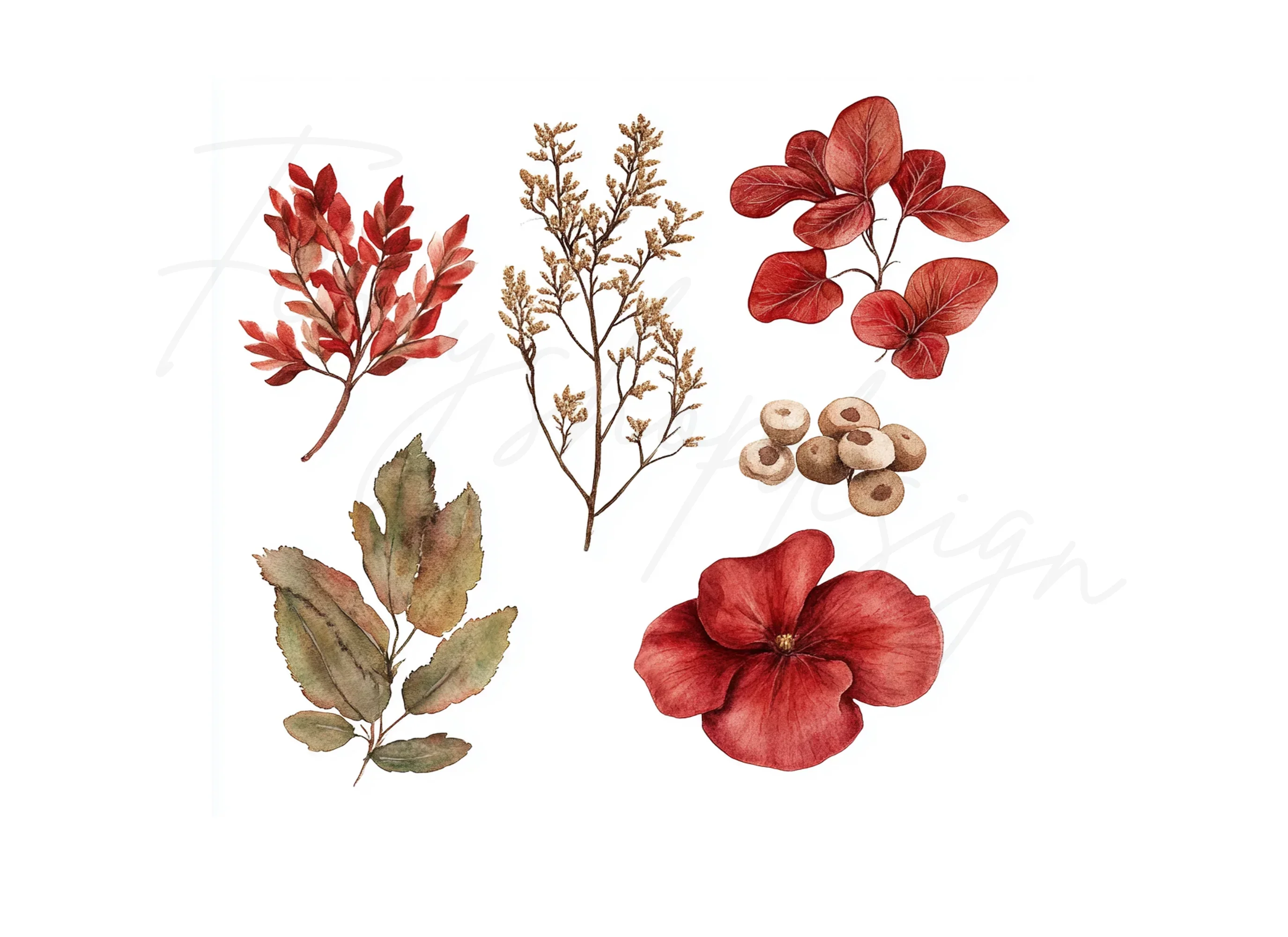 Red Floral Clipart Bundle - Image 2