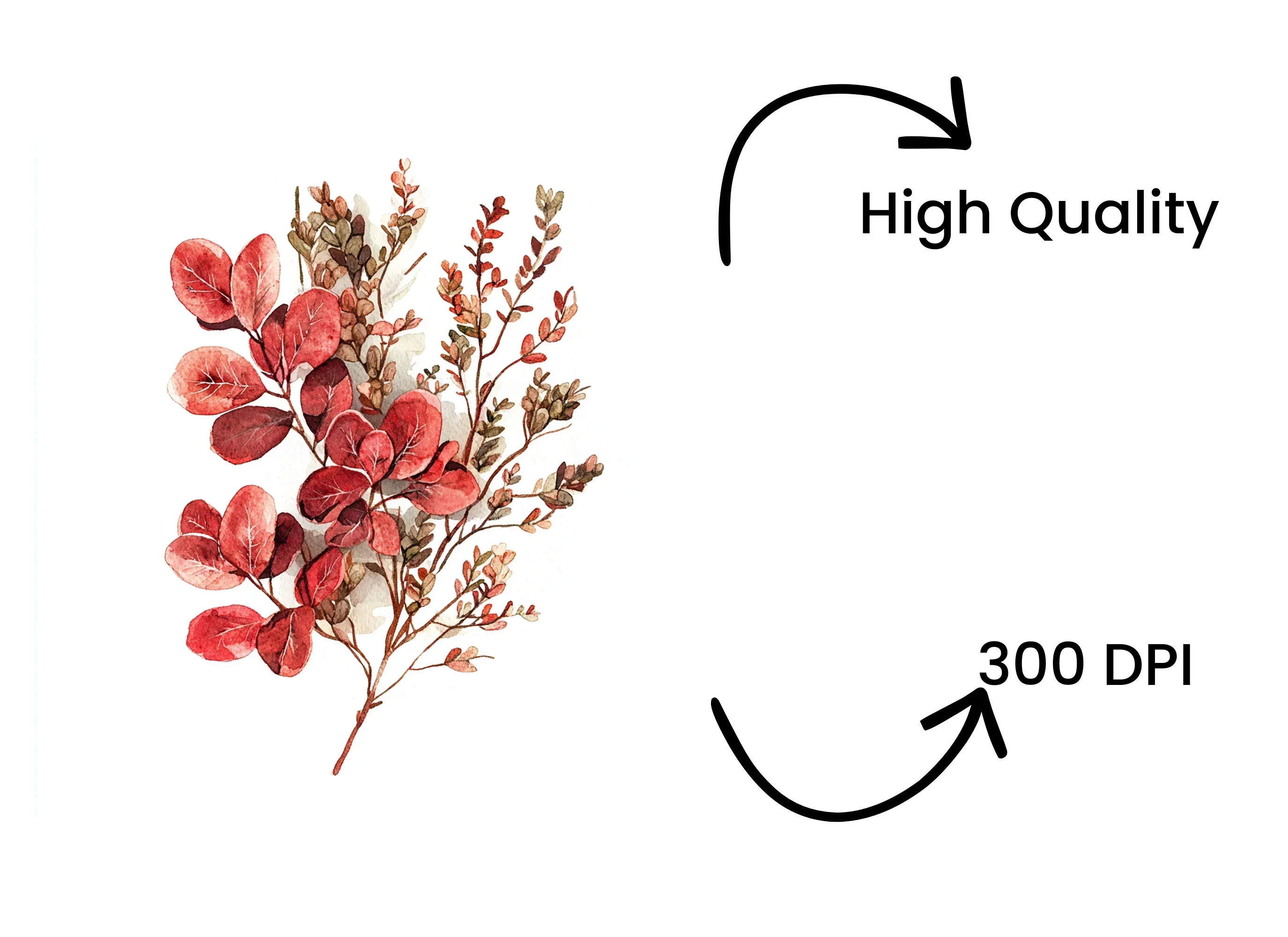 Red Floral Clipart Bundle - Image 4