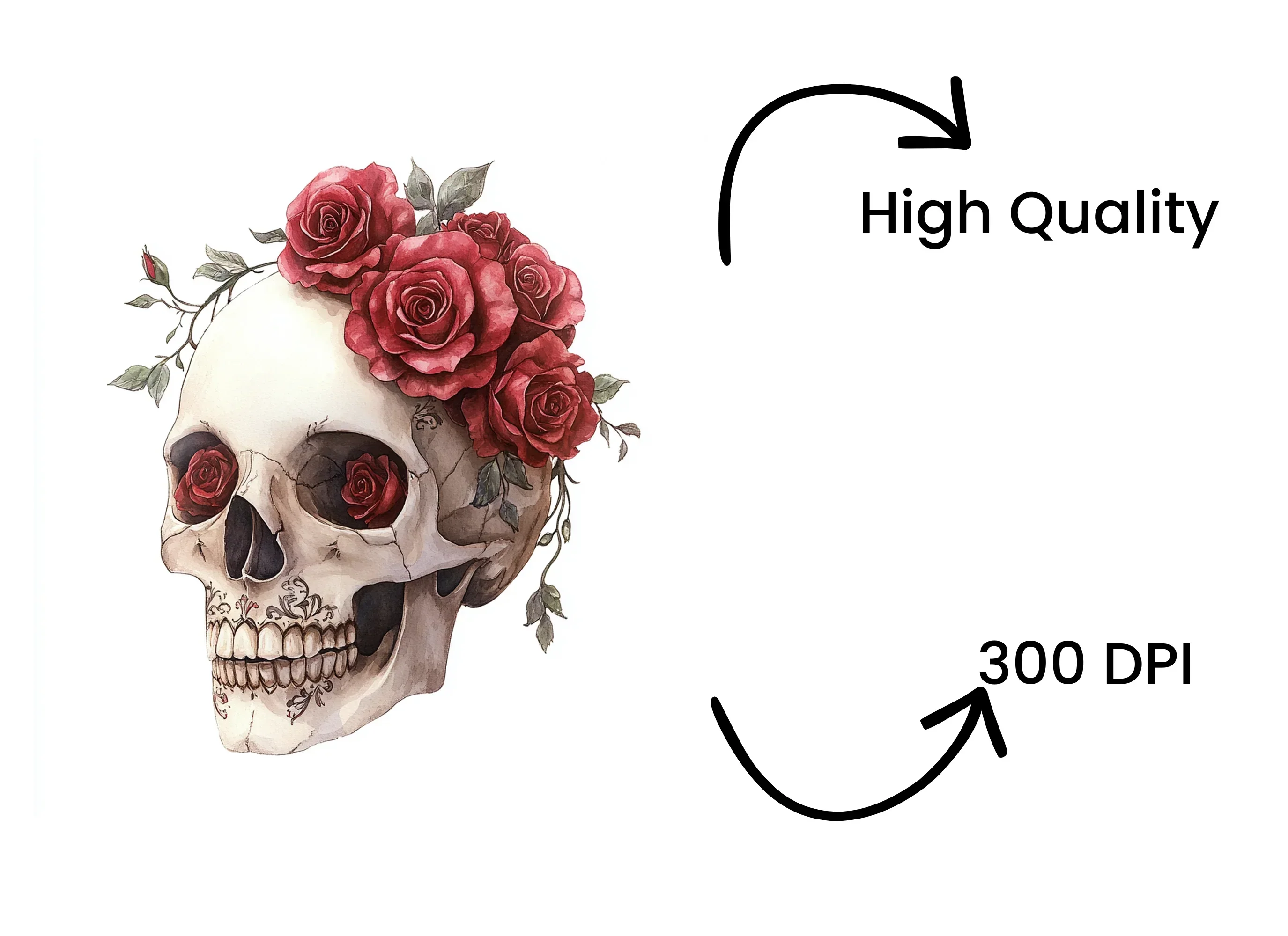 Red Rose Skull Clipart Bundle - Image 4