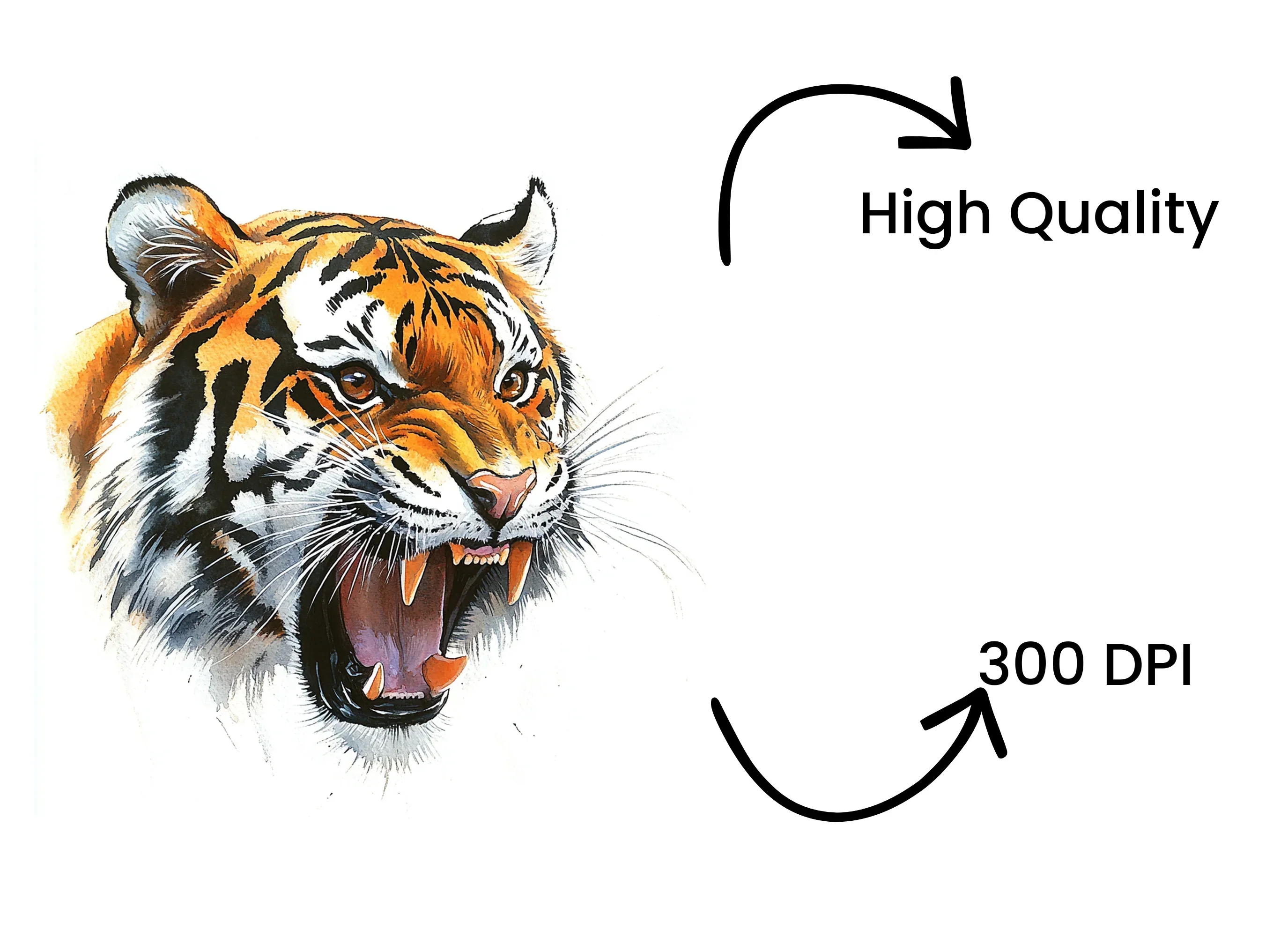 Roaring Tiger Head Clipart Bundle - Image 4