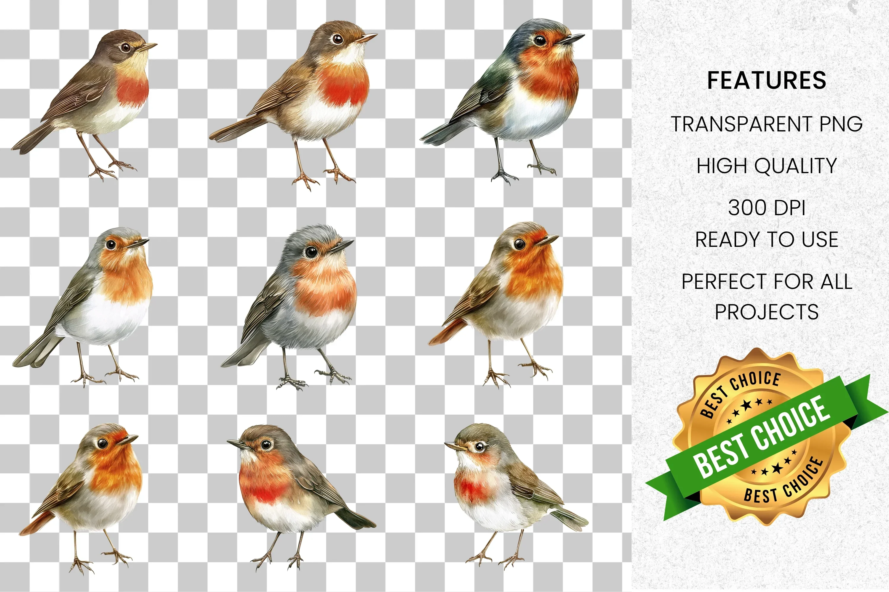 Robin Bird Clipart Bundle - Image 2