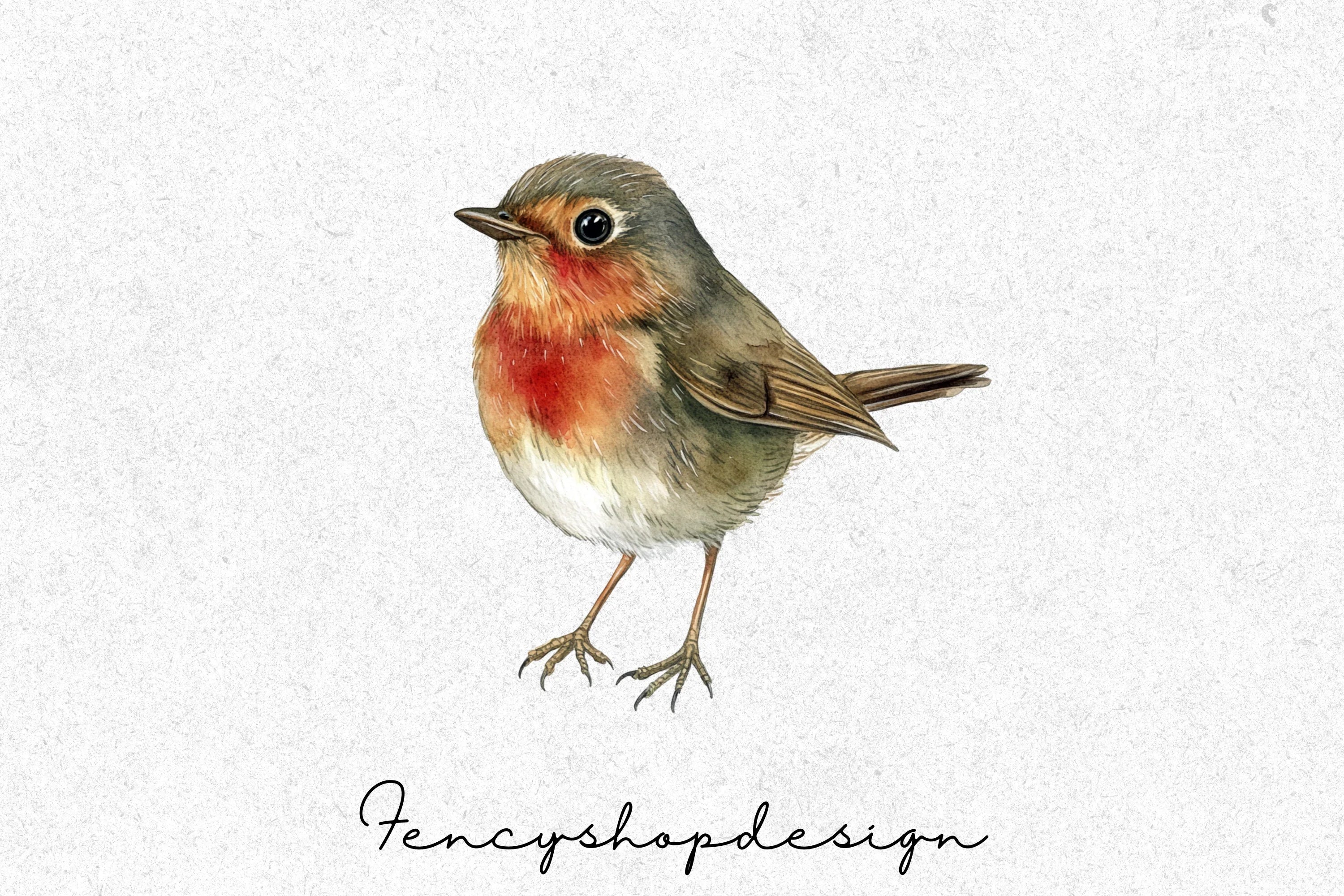 Robin Bird Clipart Bundle - Image 3