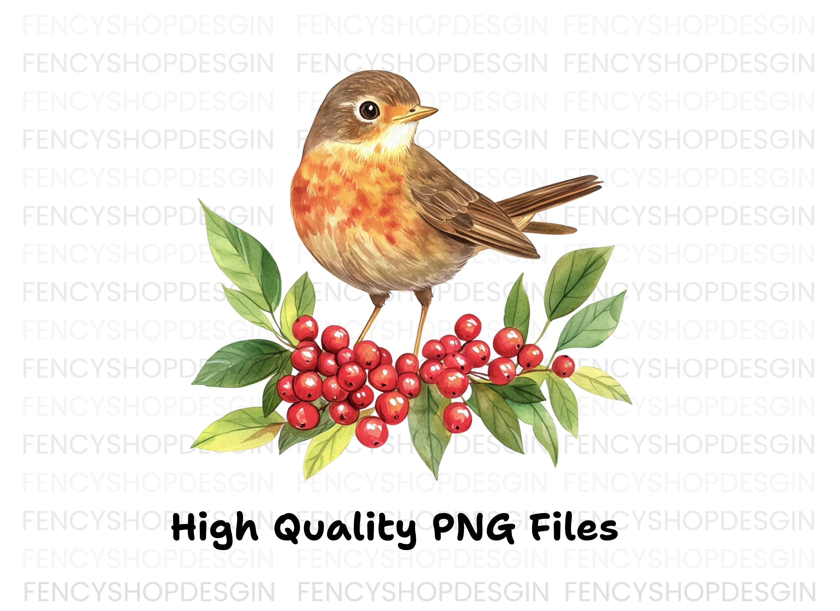Robins Berries Clipart Bundle - Image 4