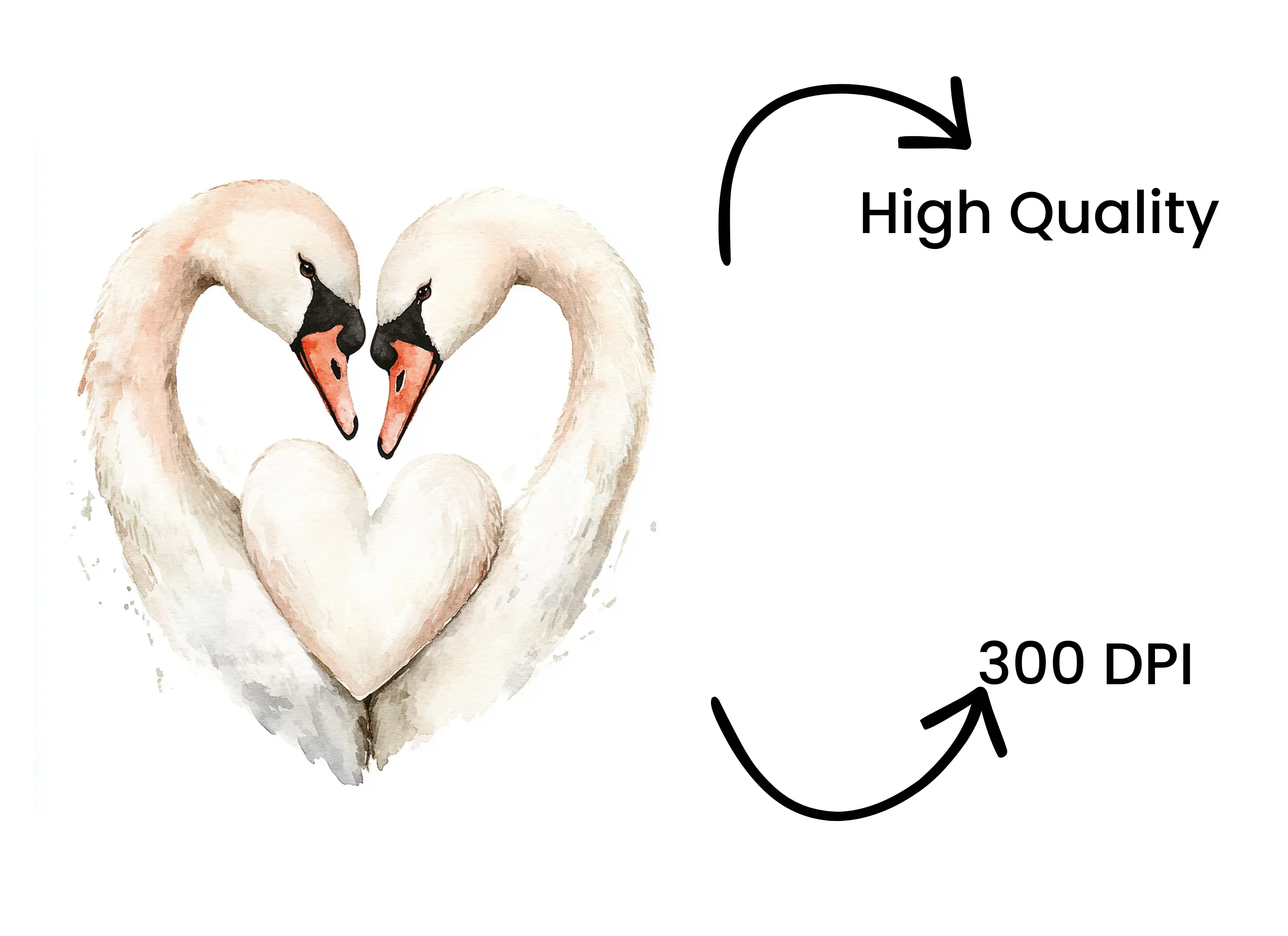 Romantic Swan Heart Clipart Bundle - Image 4