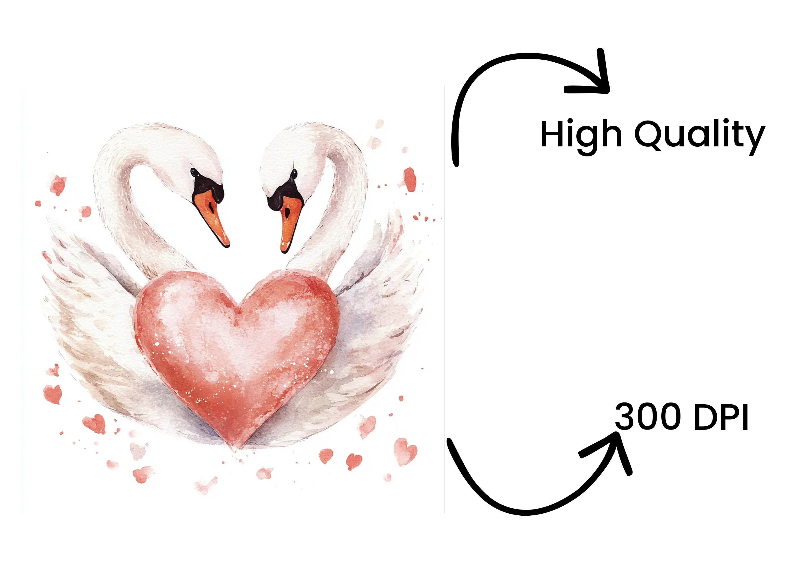 Romantic Swan Heart Clipart Bundle - Image 4