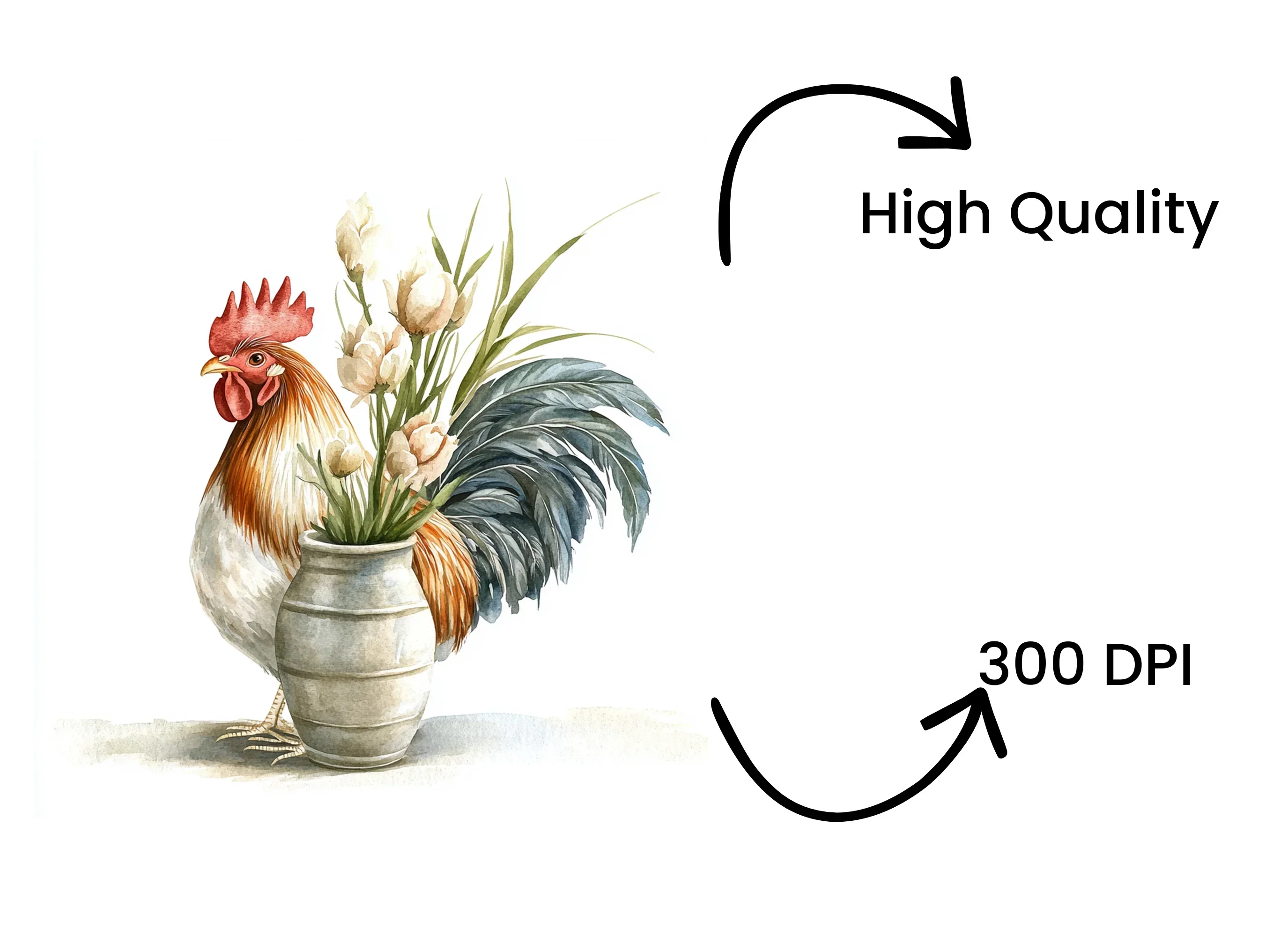 Rooster Clipart Bundle - Image 4