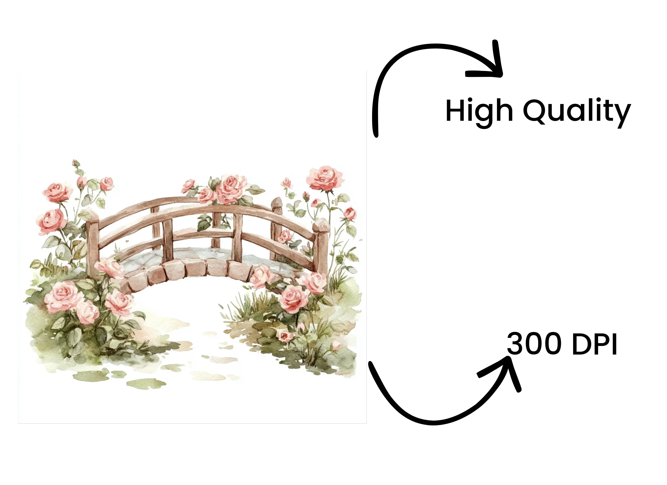 Rose Bridge Clipart Bundle - Image 4