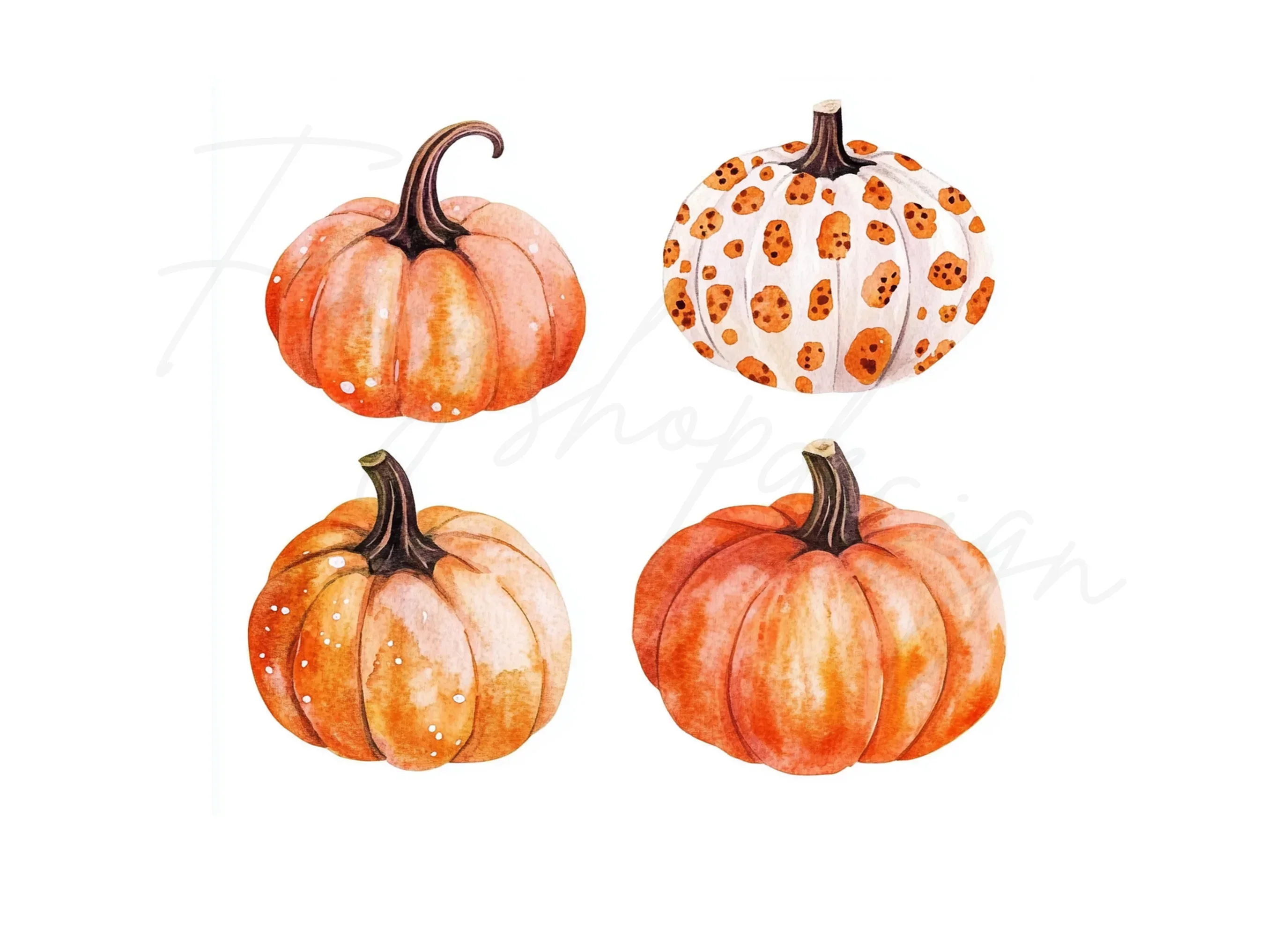 Rustic Fall Pumpkin Leaves Clipart Bundle - Image 3