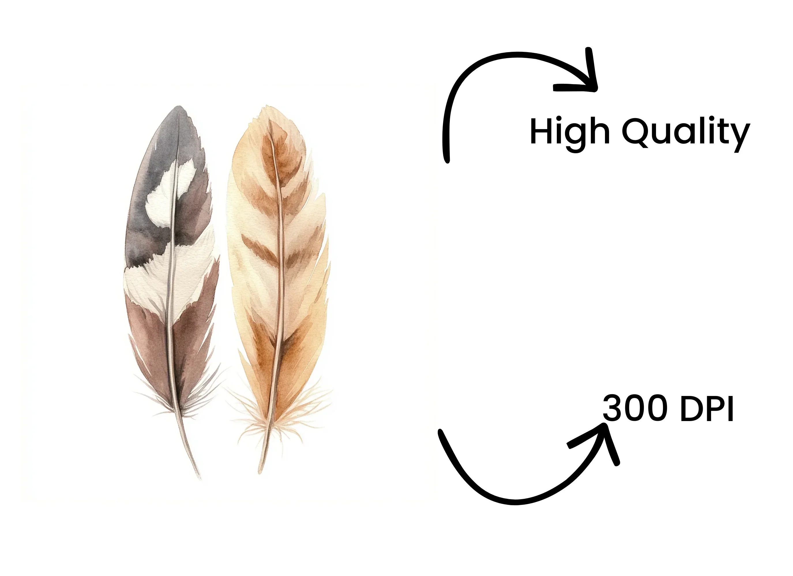 Rustic Feather Pair Clipart Bundle - Image 4