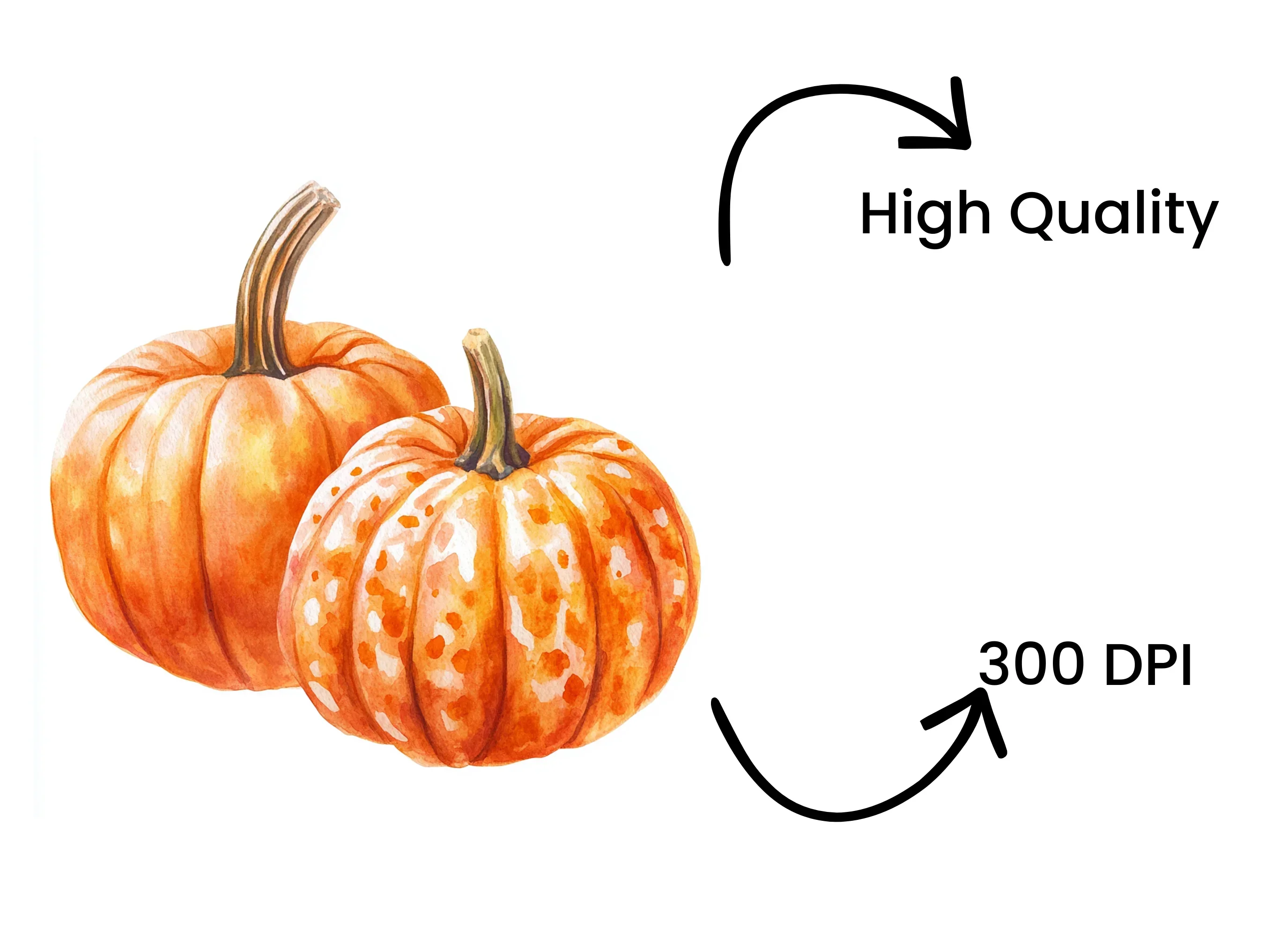 Rustic Pumpkin Clipart Bundle - Image 4