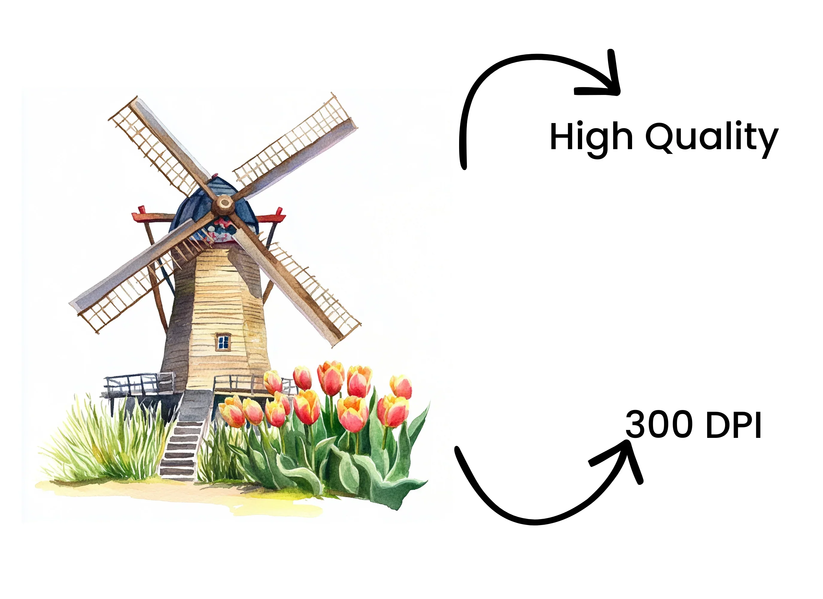 Rustic Windmill and Tulip Field Clipart Bundle - Image 4