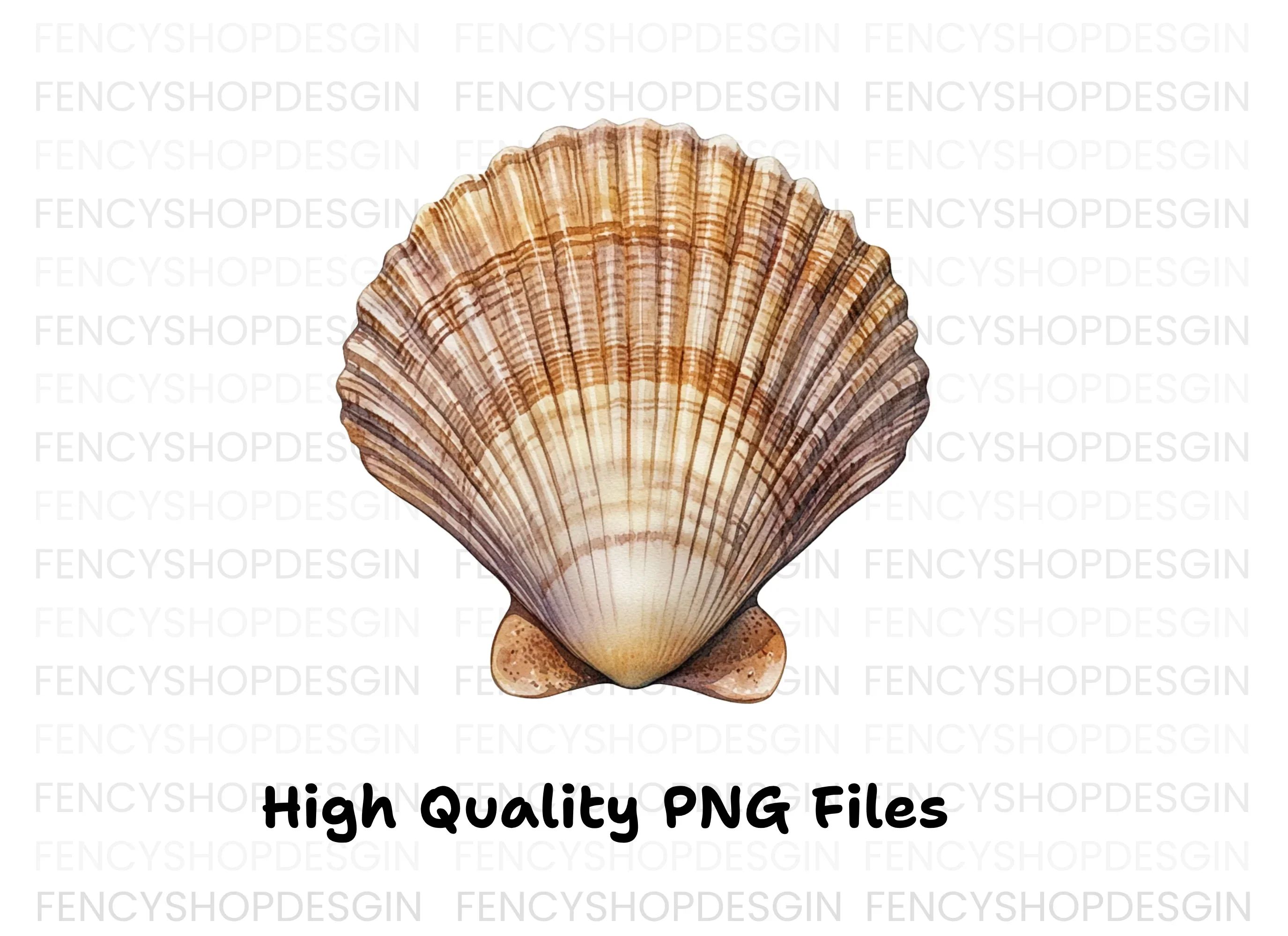Scallop Shells Clipart Bundle - Image 3
